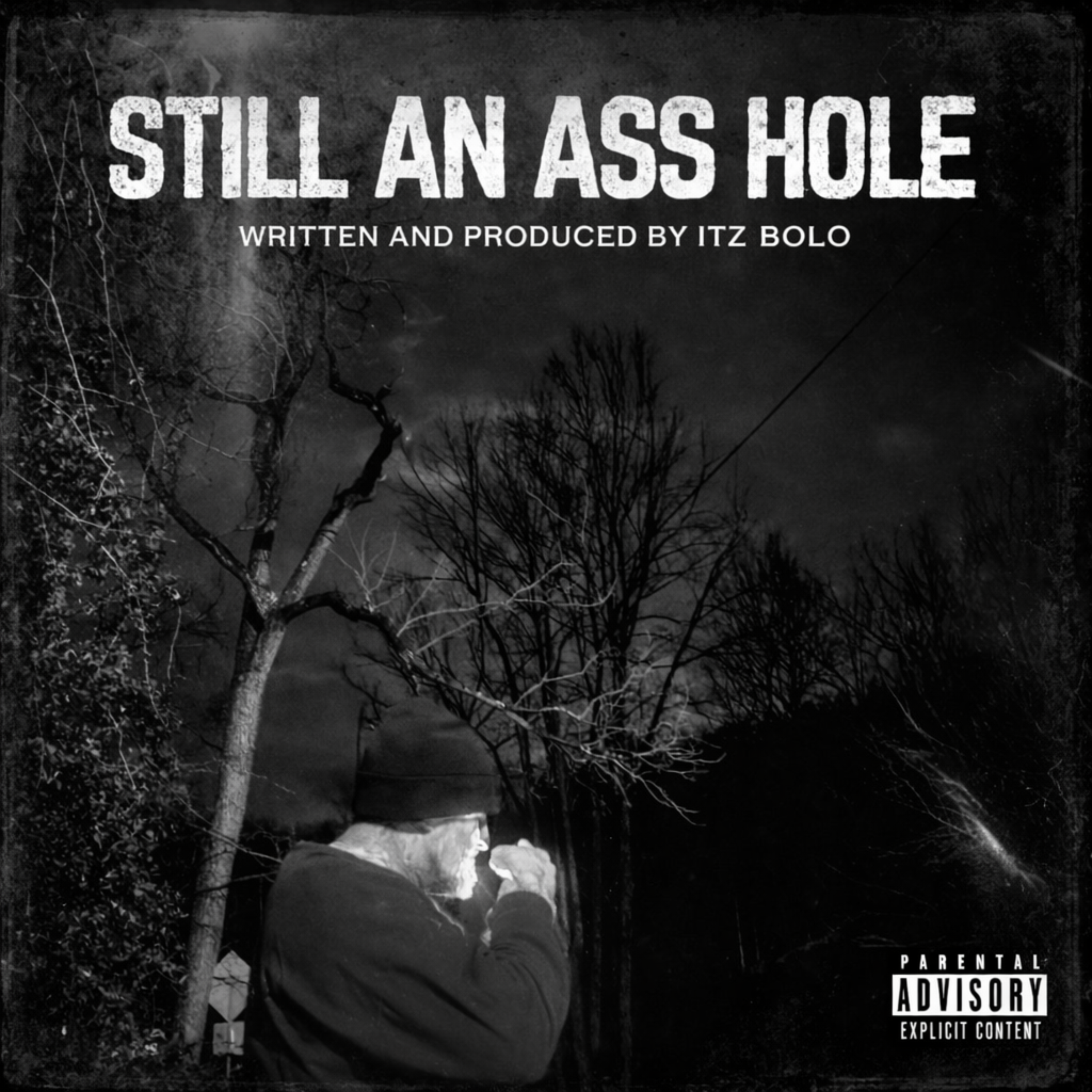 Still an asshole artwork