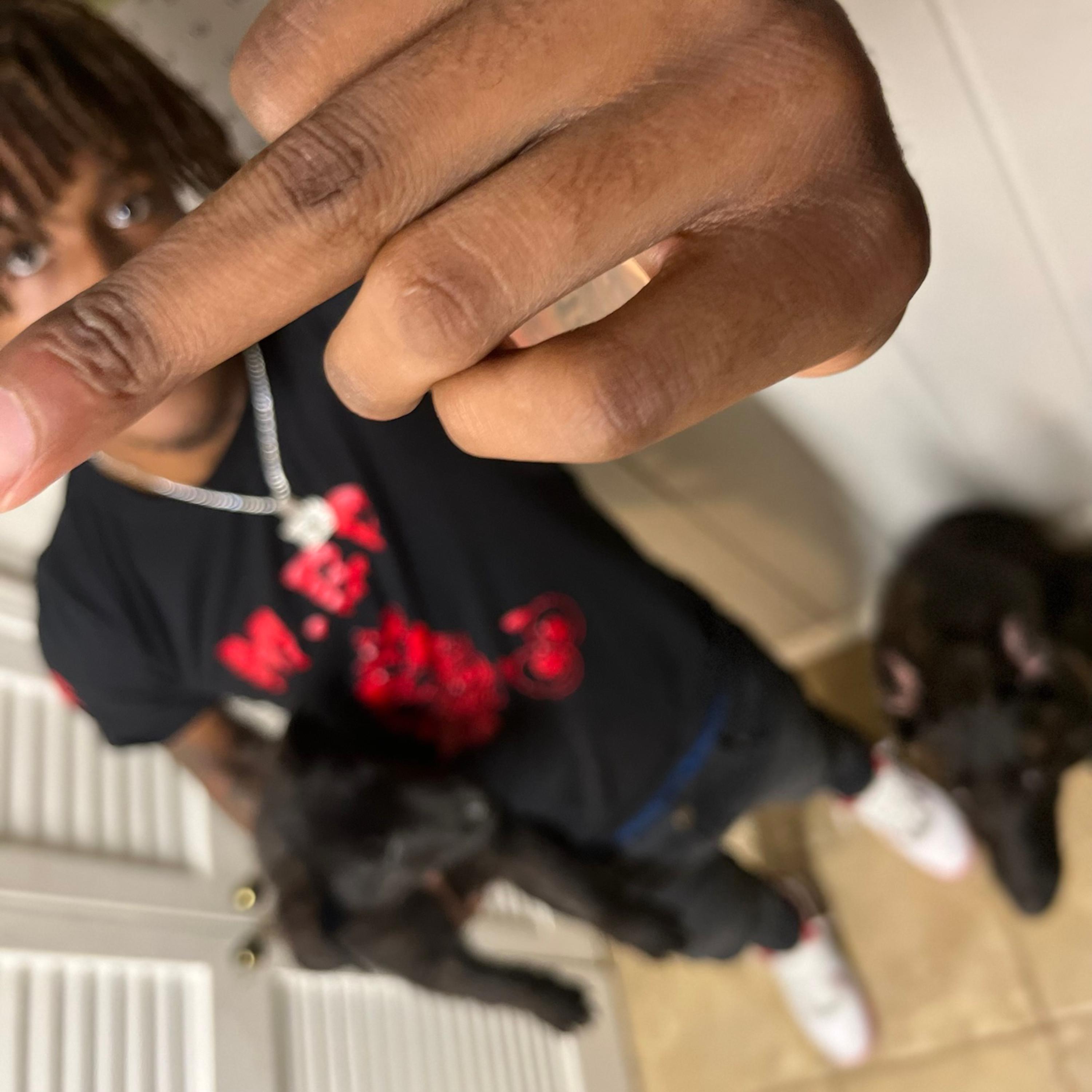 Stand On Tht artwork