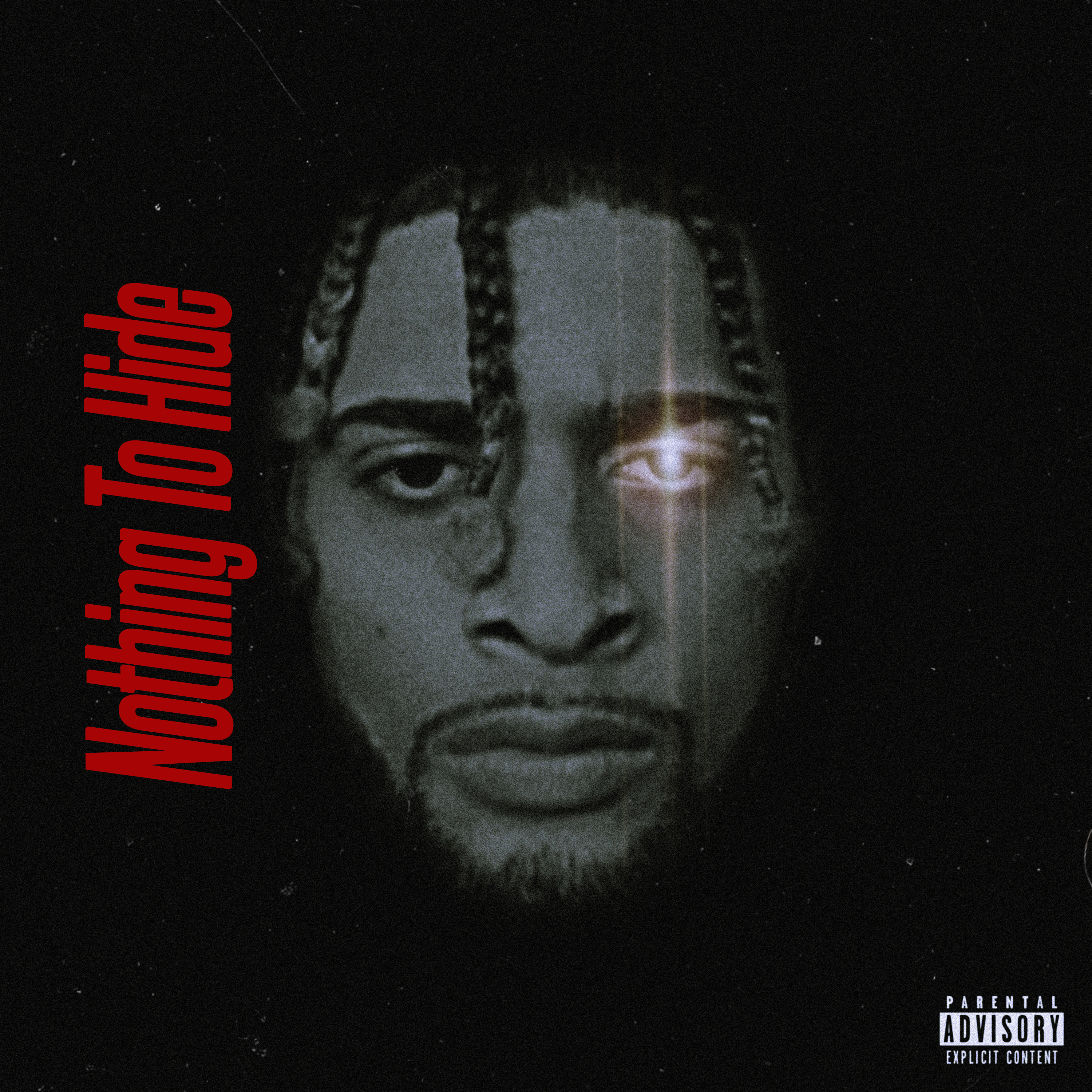 Nothing To Hide artwork