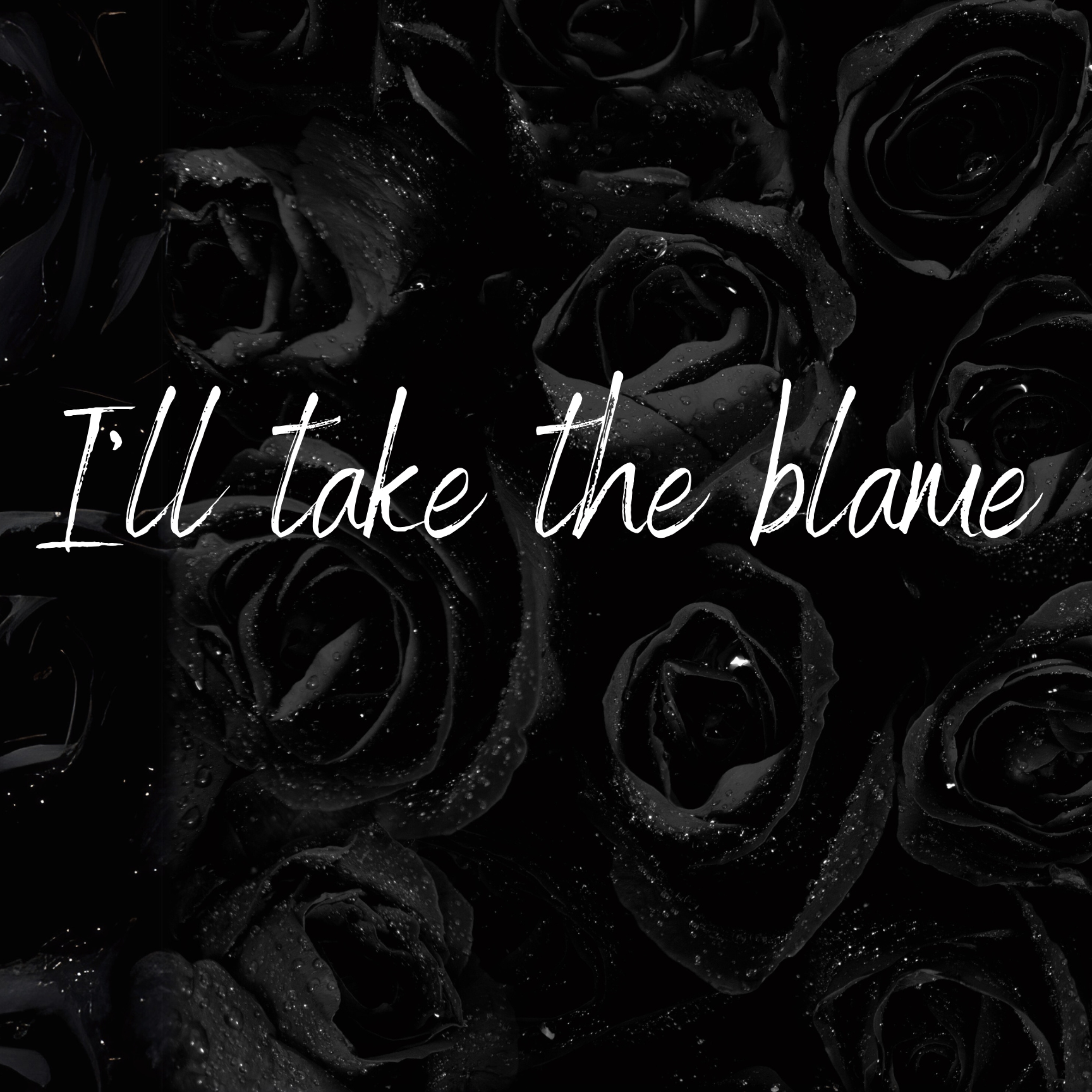 I’ll take the blame artwork