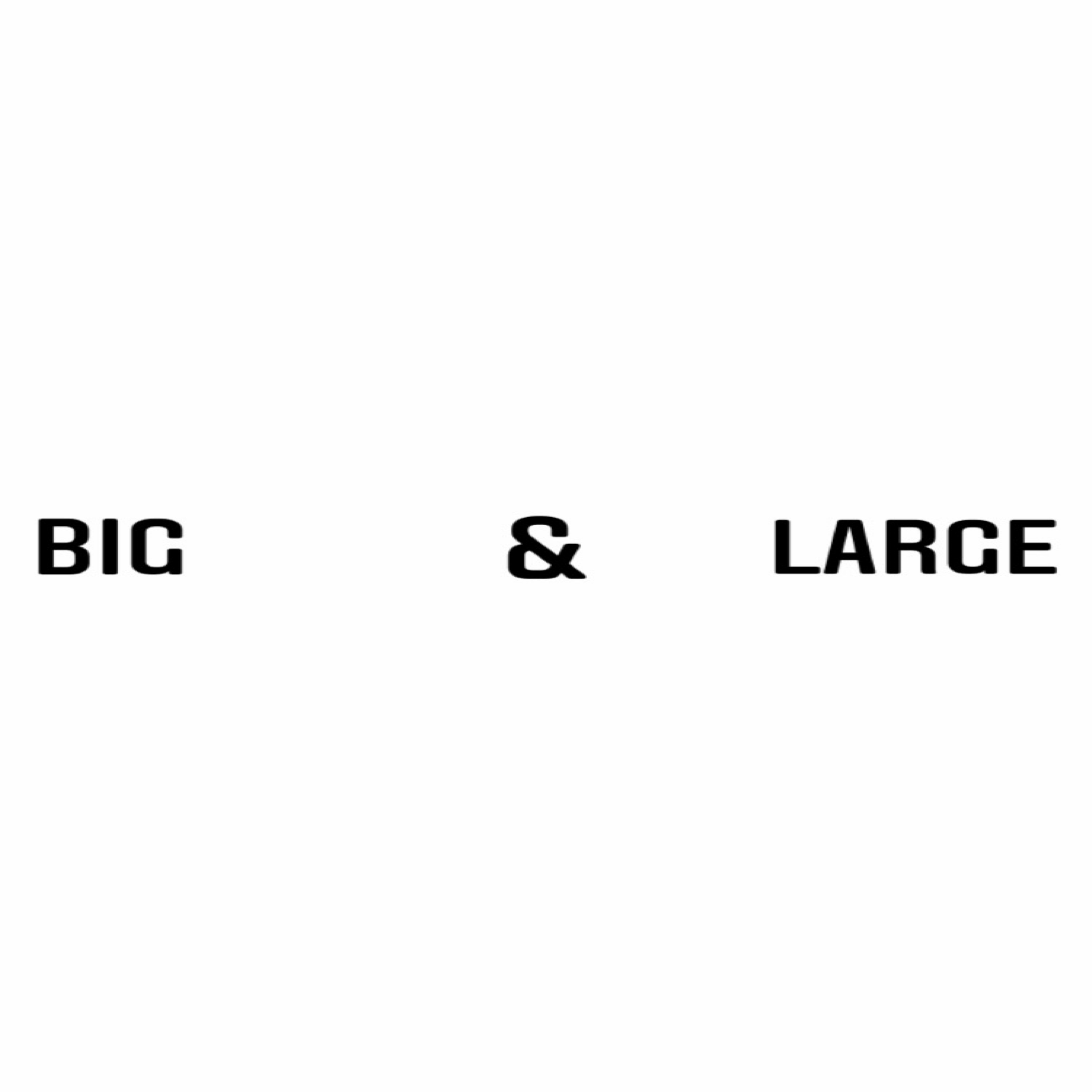 Big And Large artwork