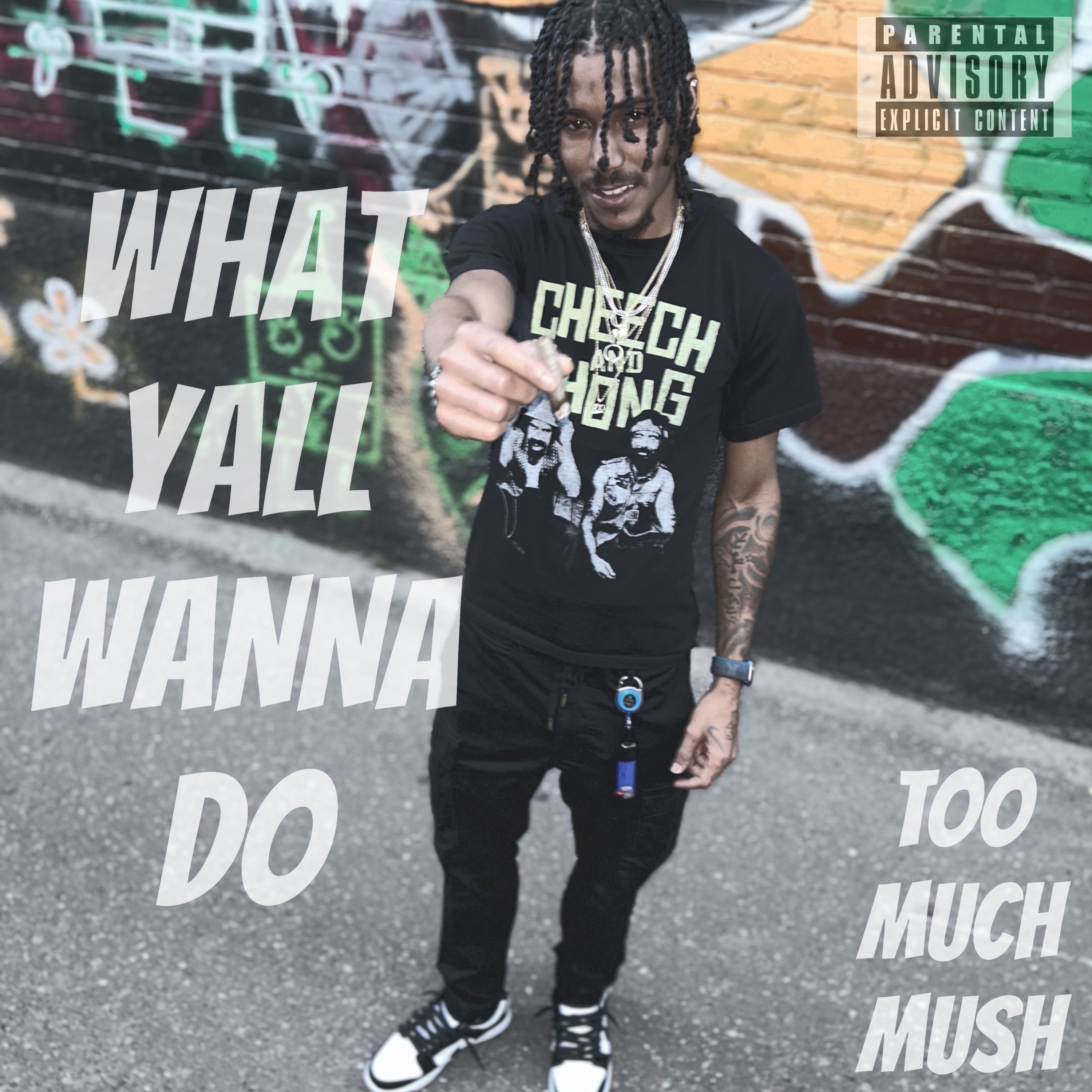 What Yall Wanna Do by TOOMUCHMUSH cover art