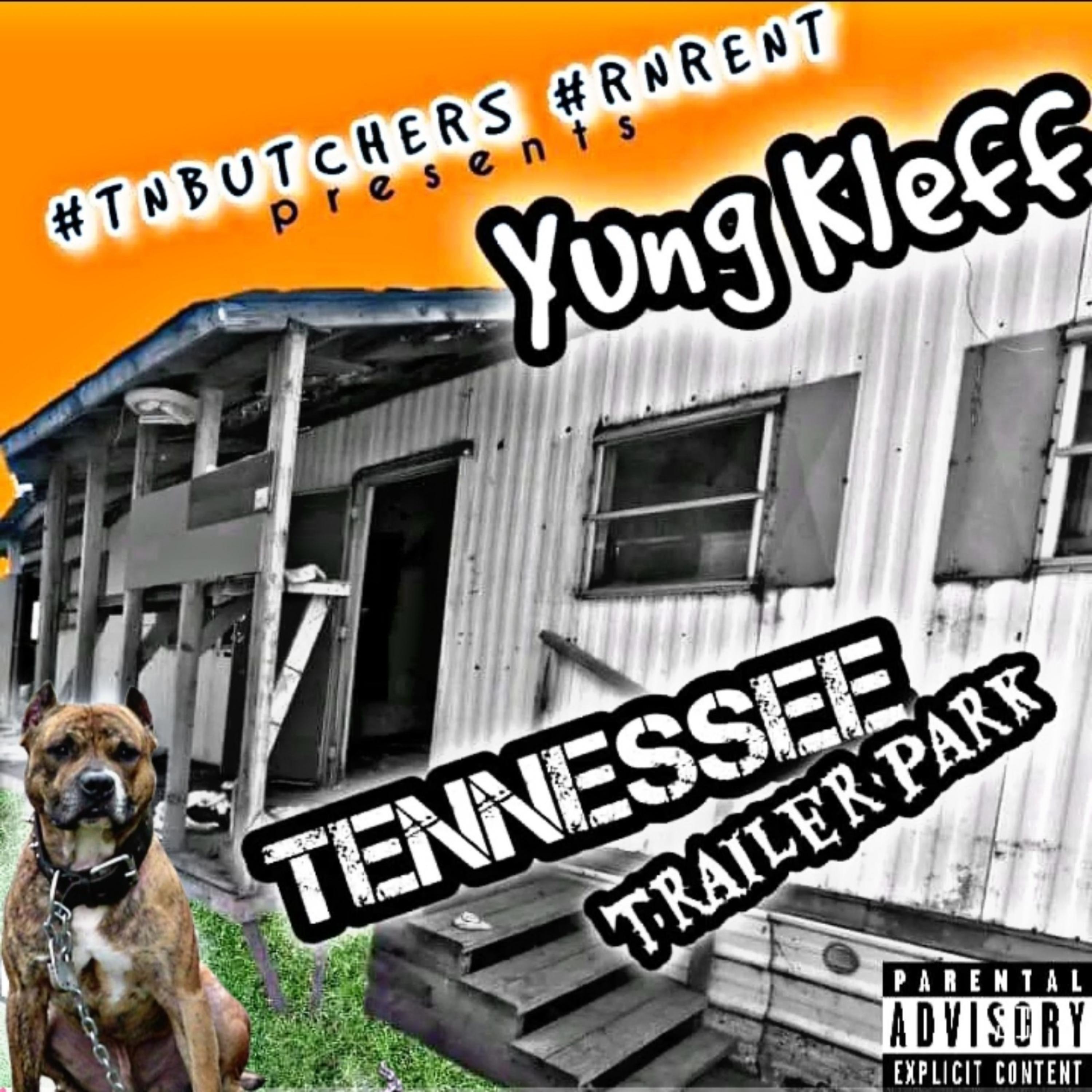 Tennessee Trailer Park artwork