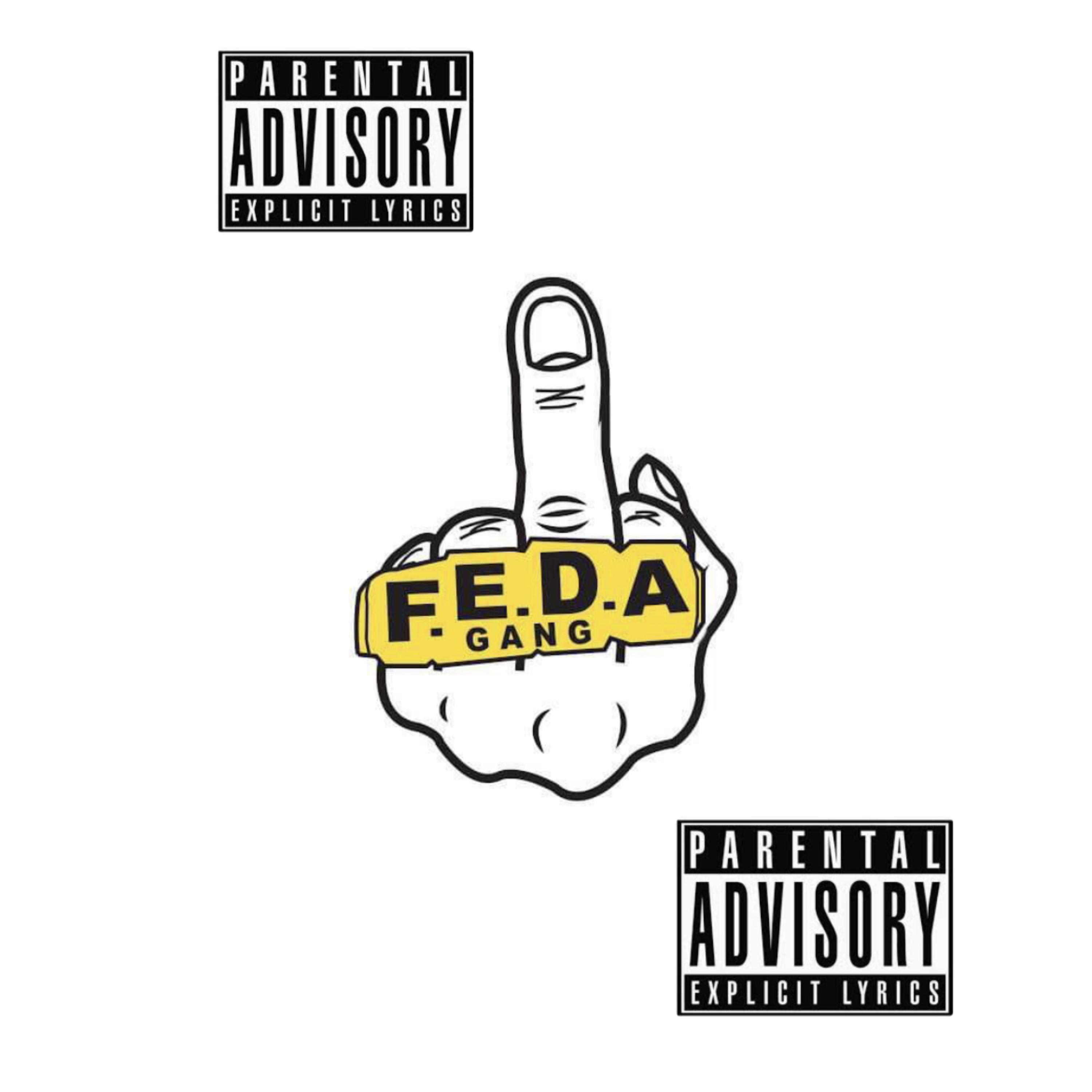 F.E.D.A artwork