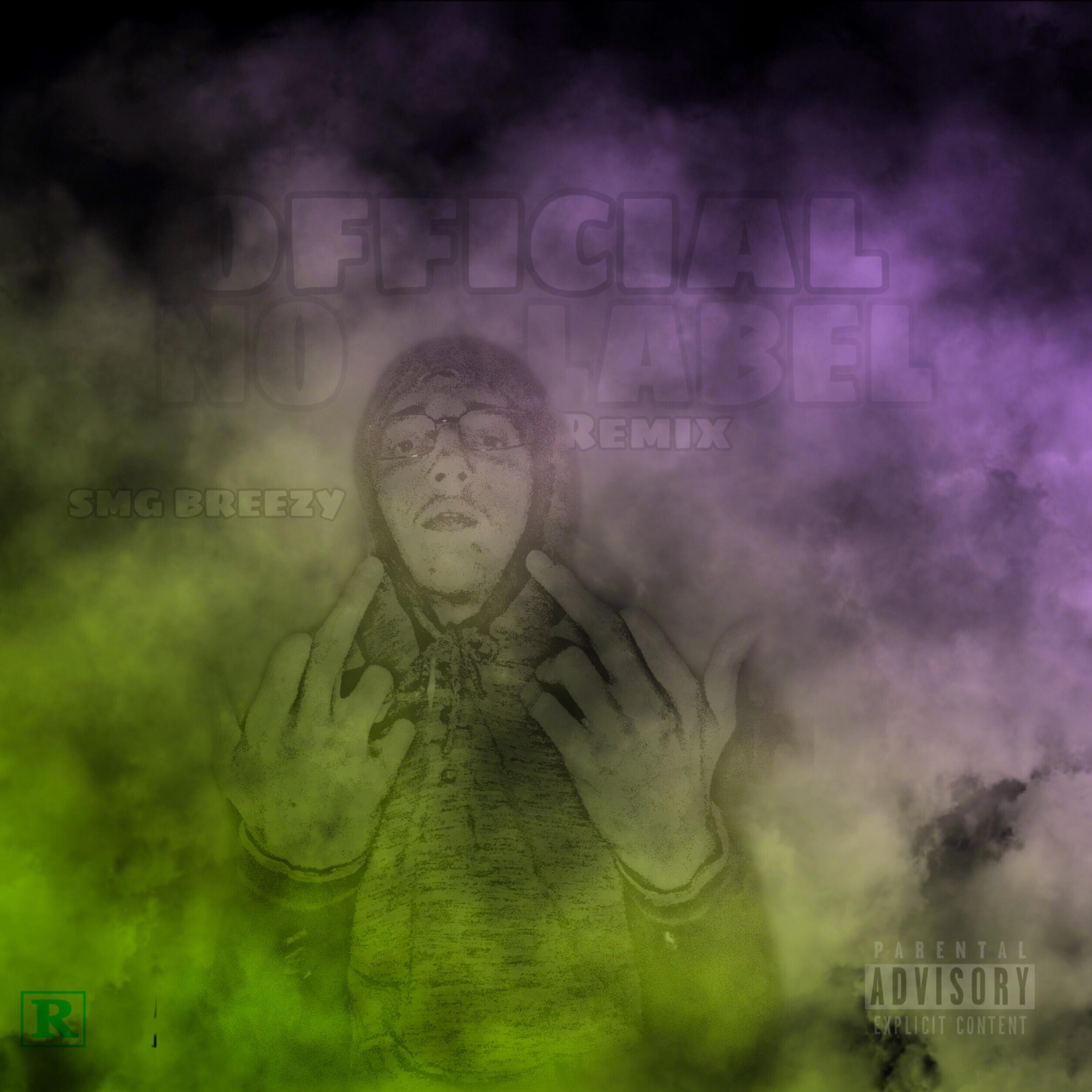 OFFICIAL NO LABEL artwork