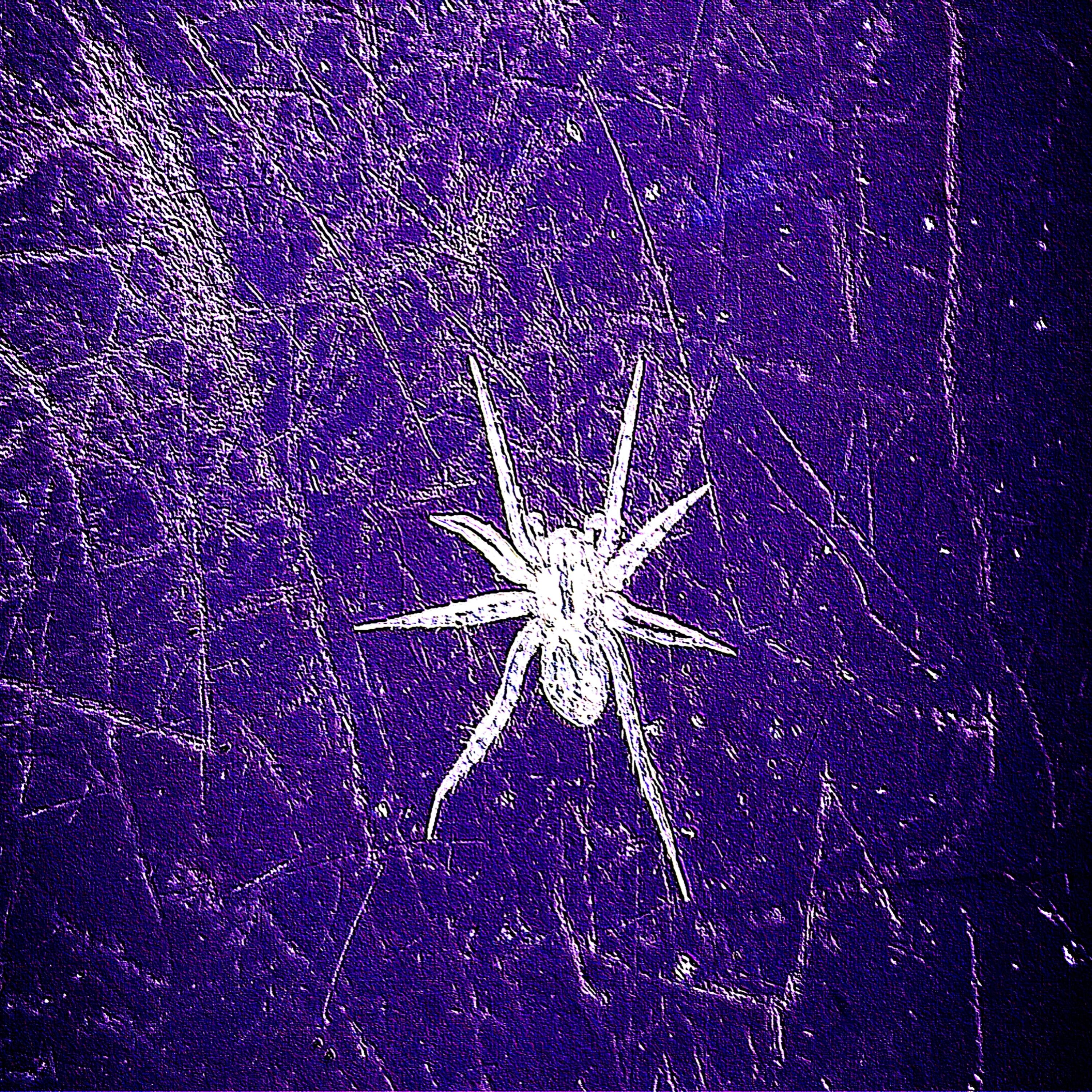 Dark Matter artwork