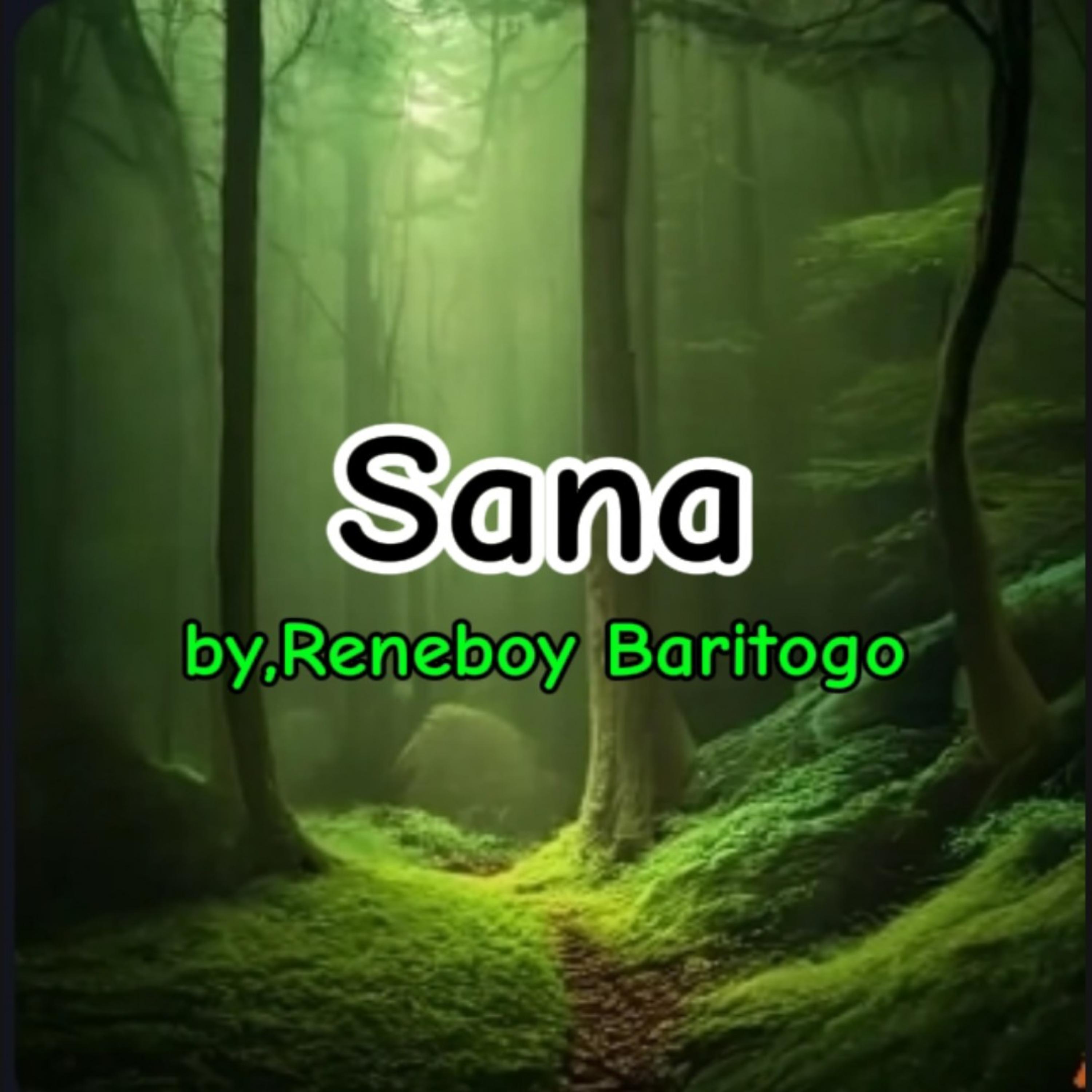 Sana artwork