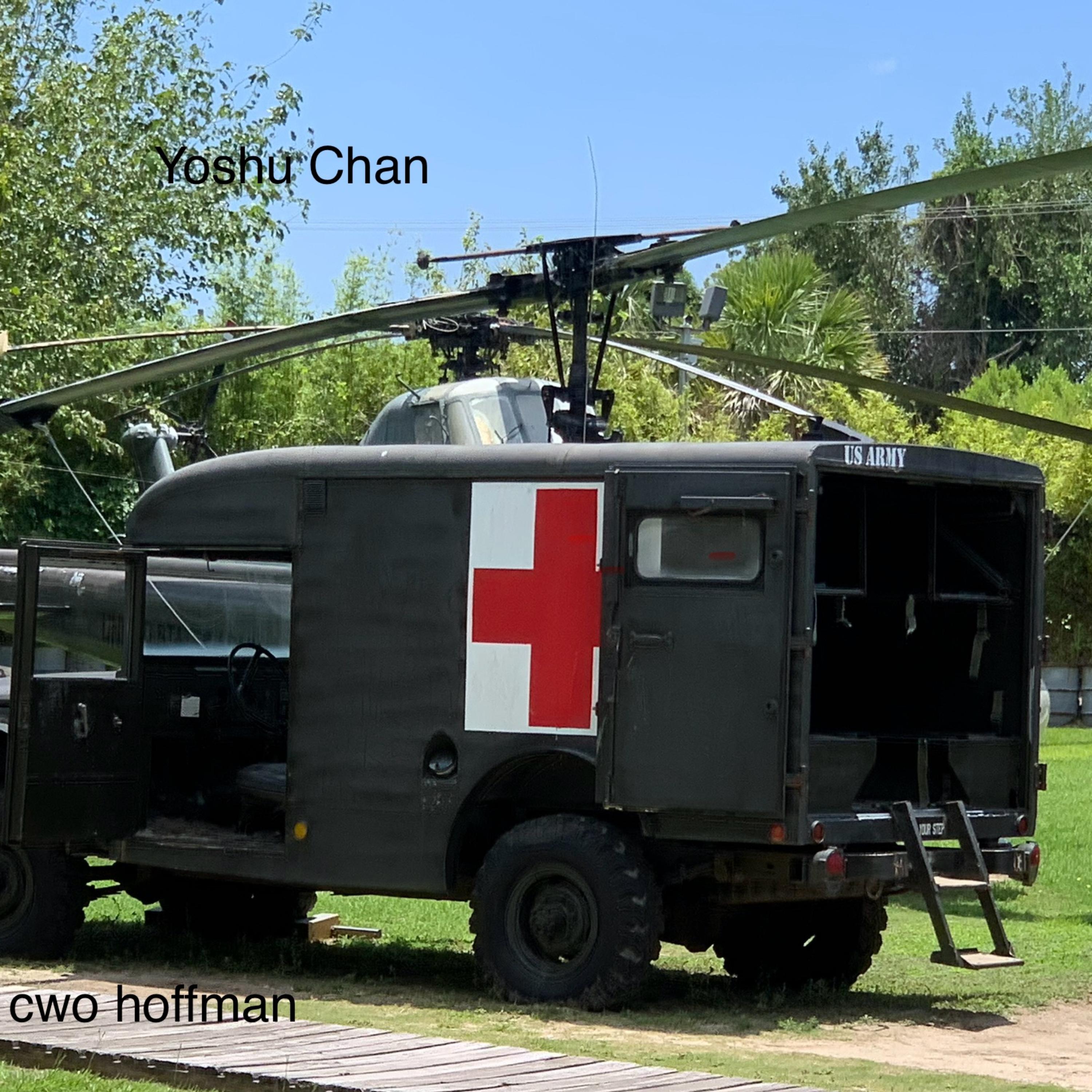 cwo hoffman artwork