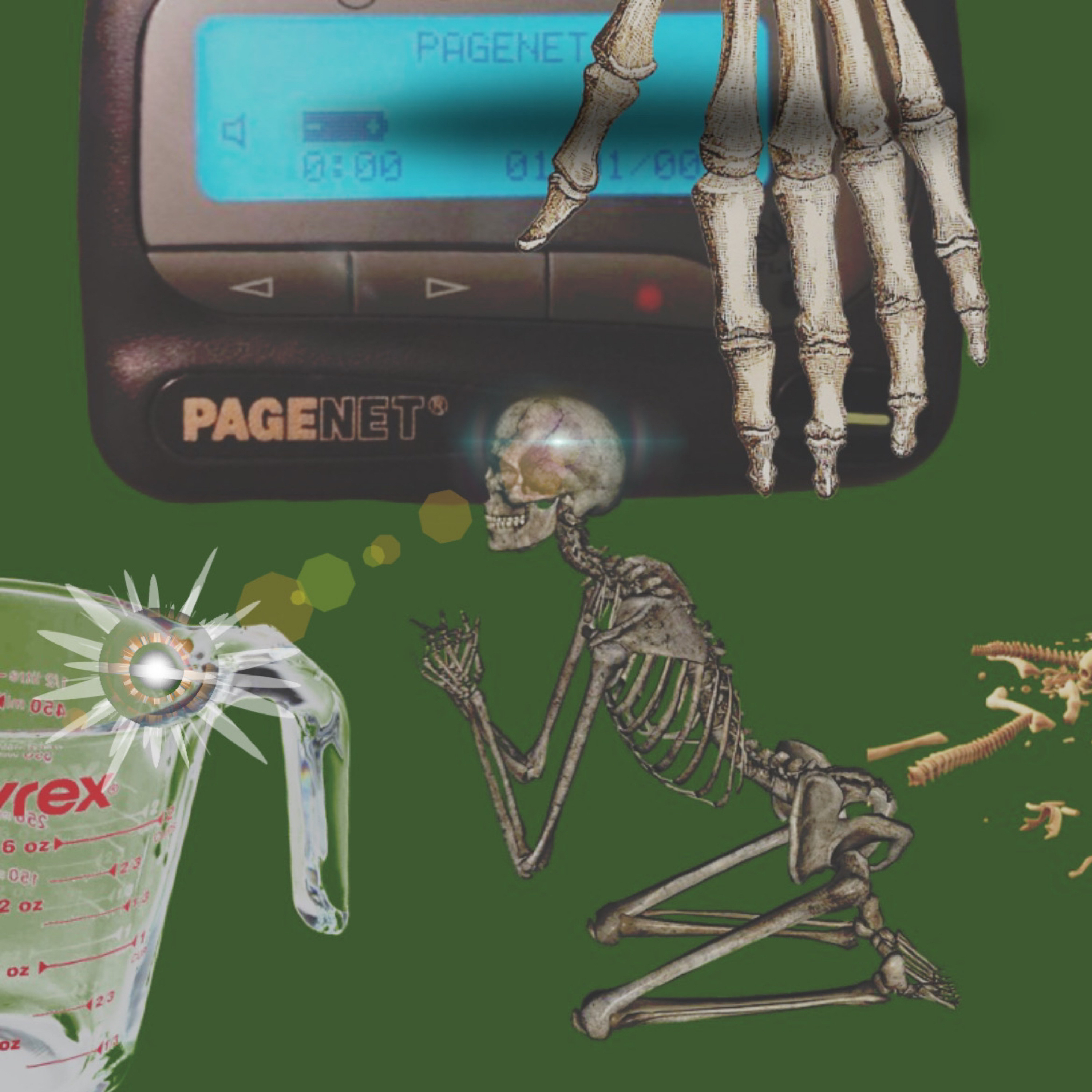 PAGENET artwork