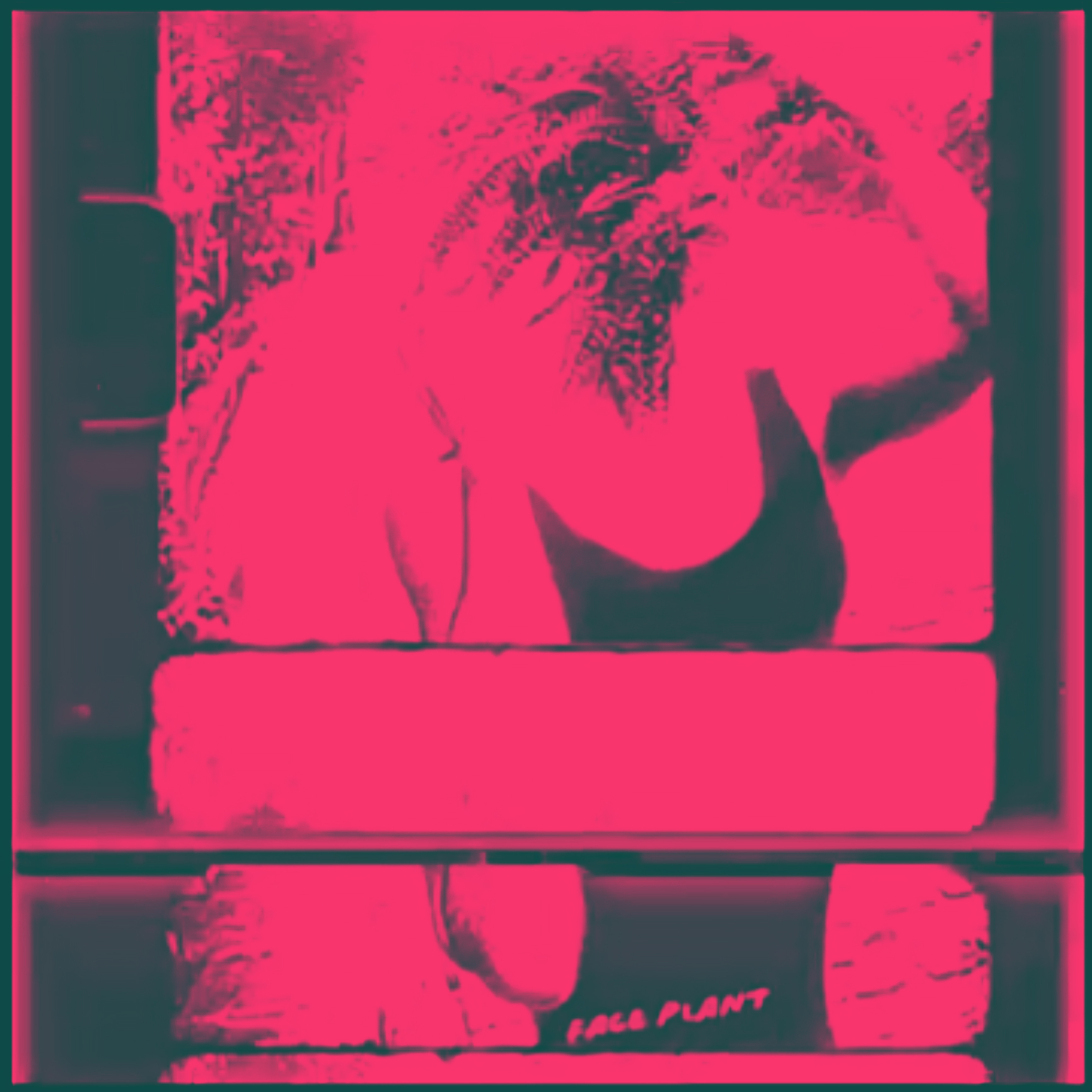 FACE PLANT by LOVE, HEATH cover art