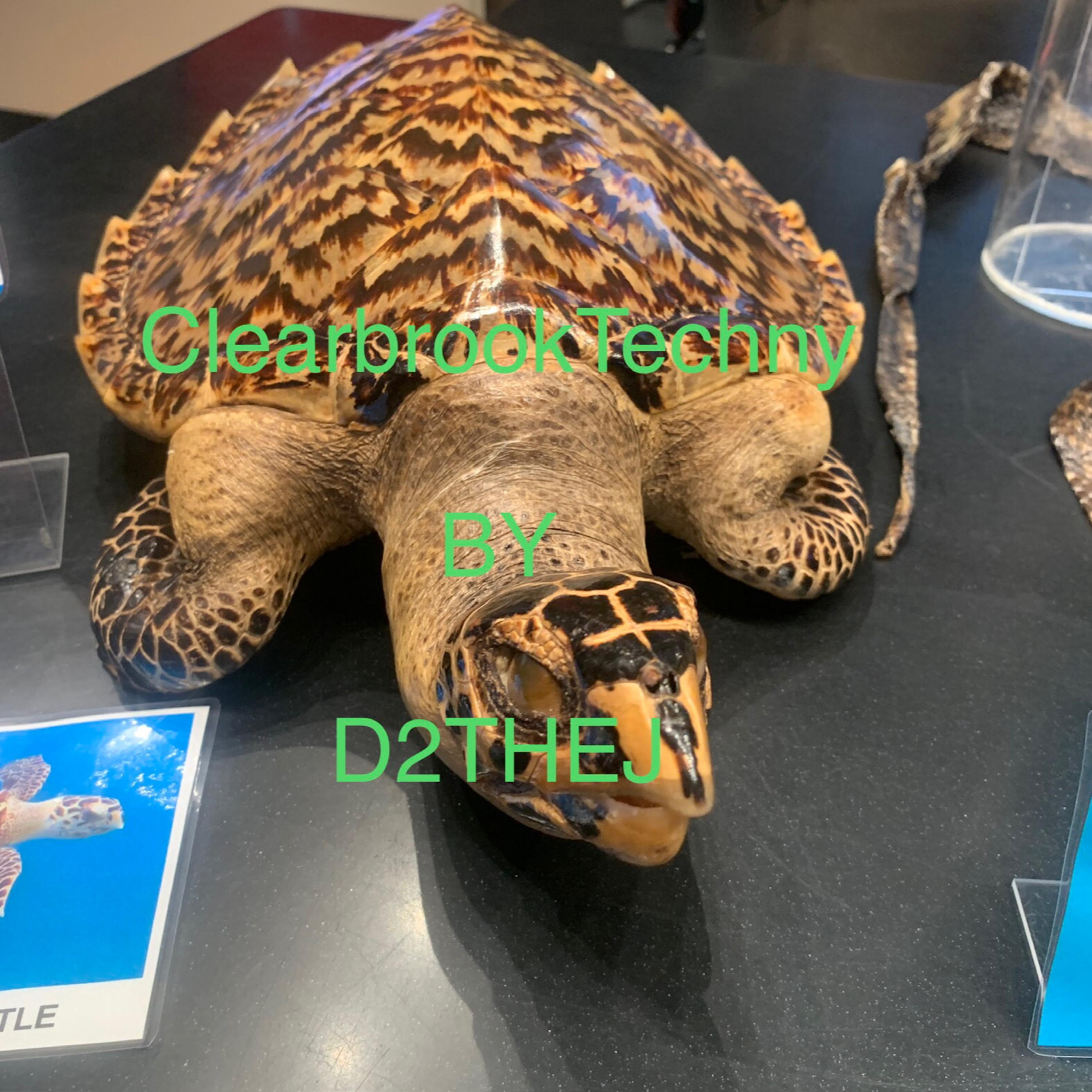 ClearbrookTechny artwork