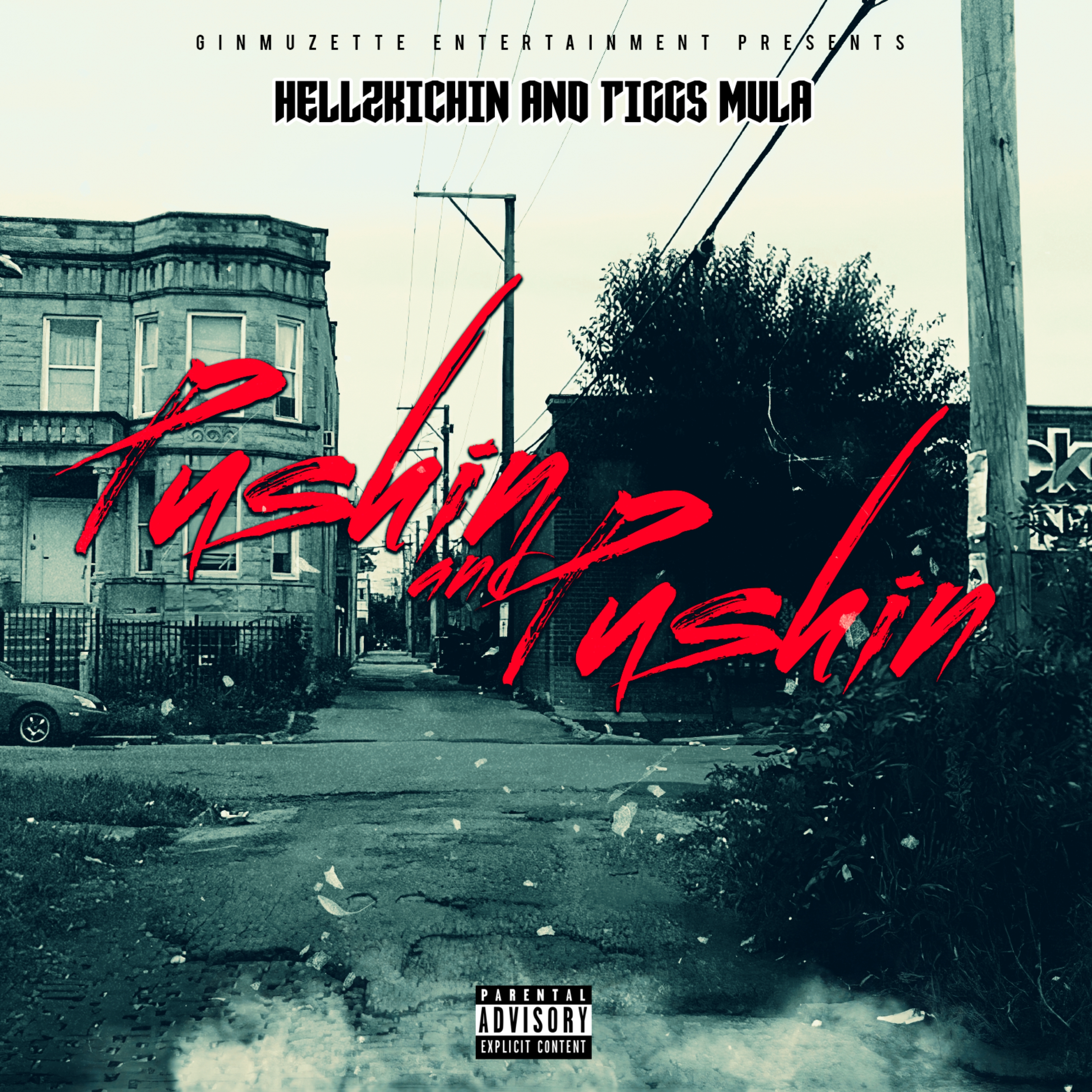 Pushin And Pushin artwork