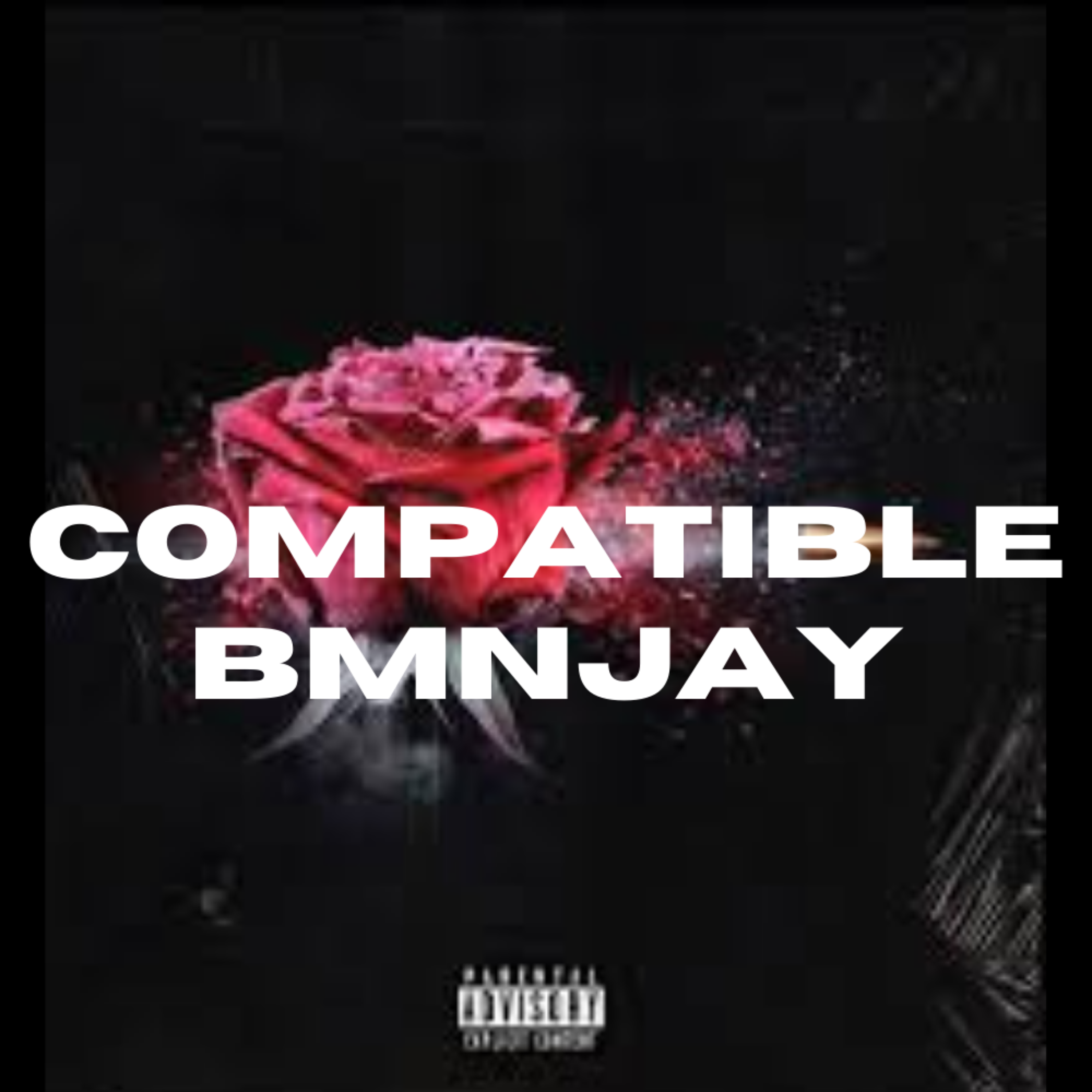 COMPATIBLE artwork