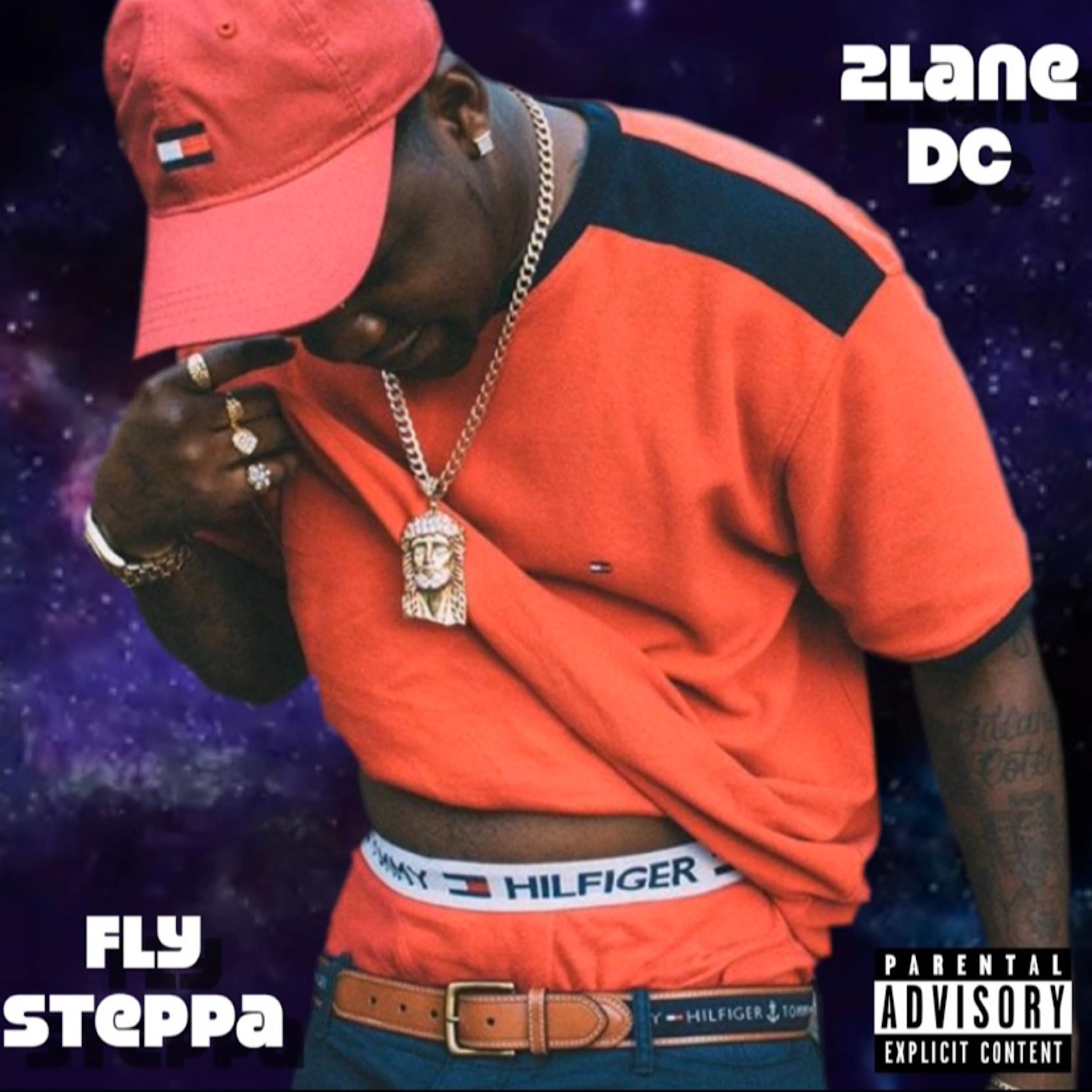 Fly Steppa artwork