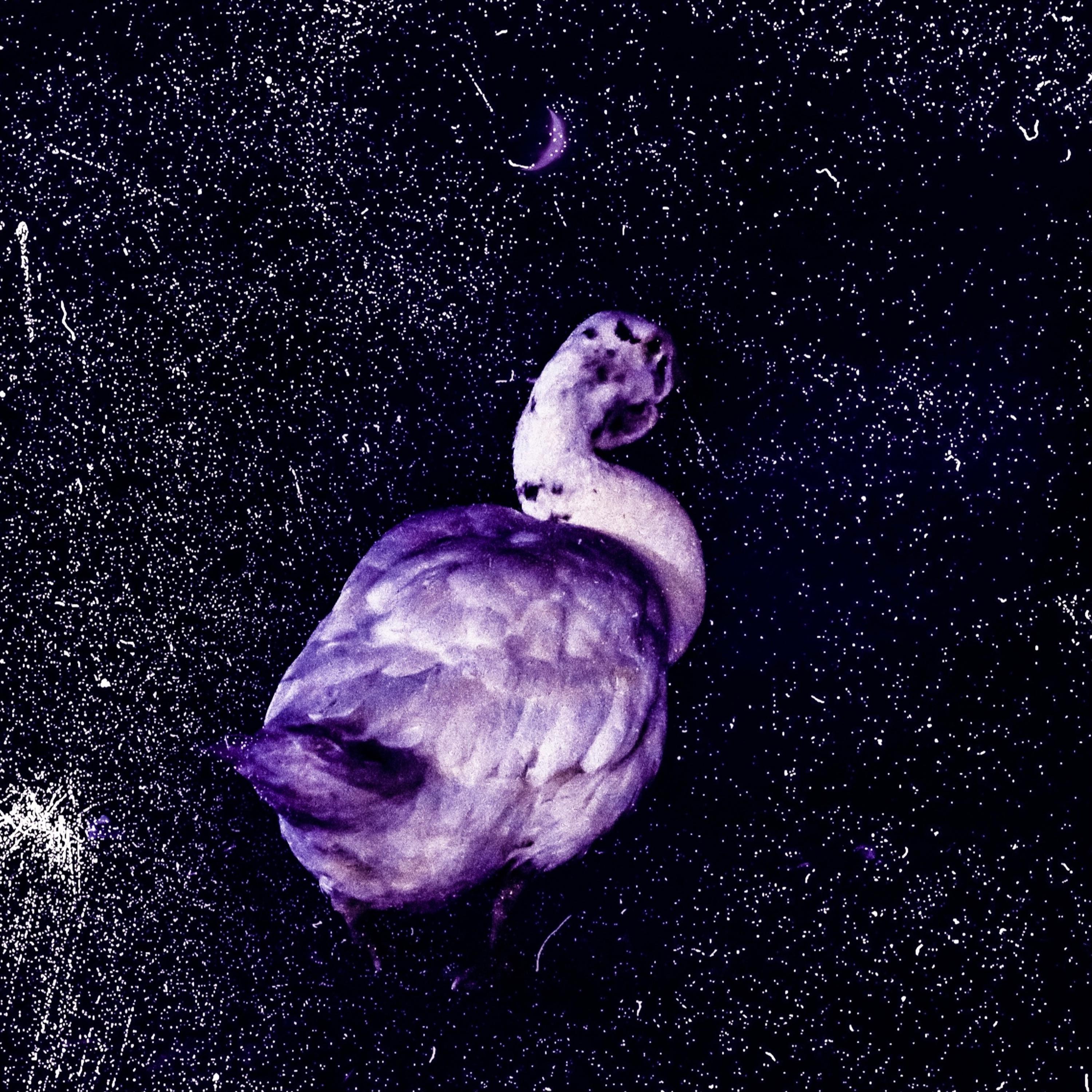 AMETHYST_2021 artwork