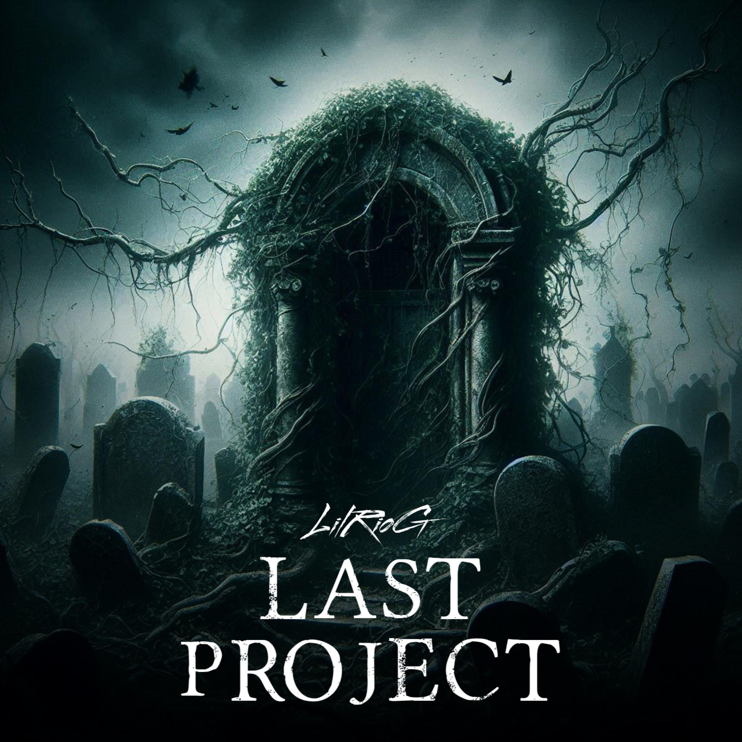 Last Project artwork