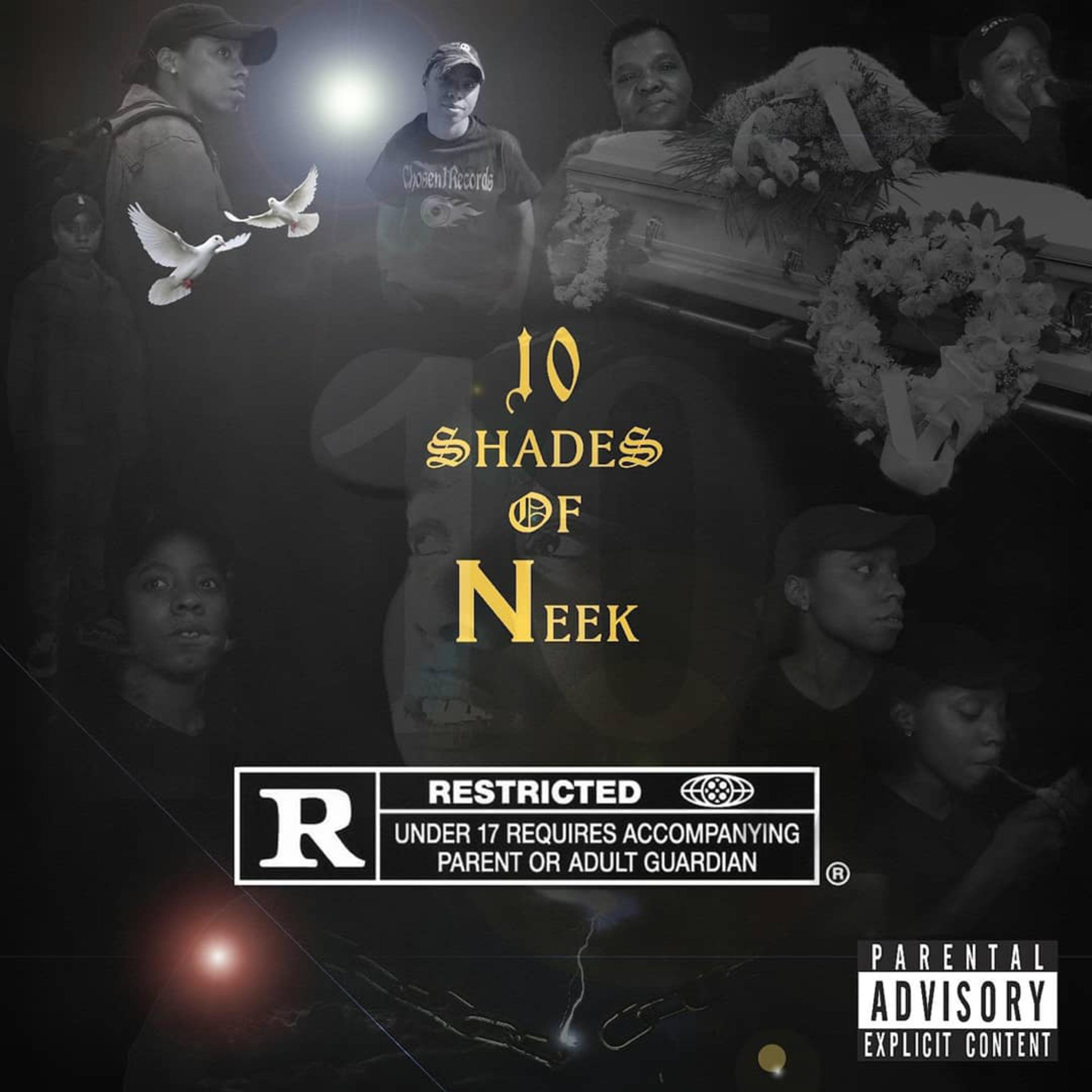 10 Shades Of Neek artwork