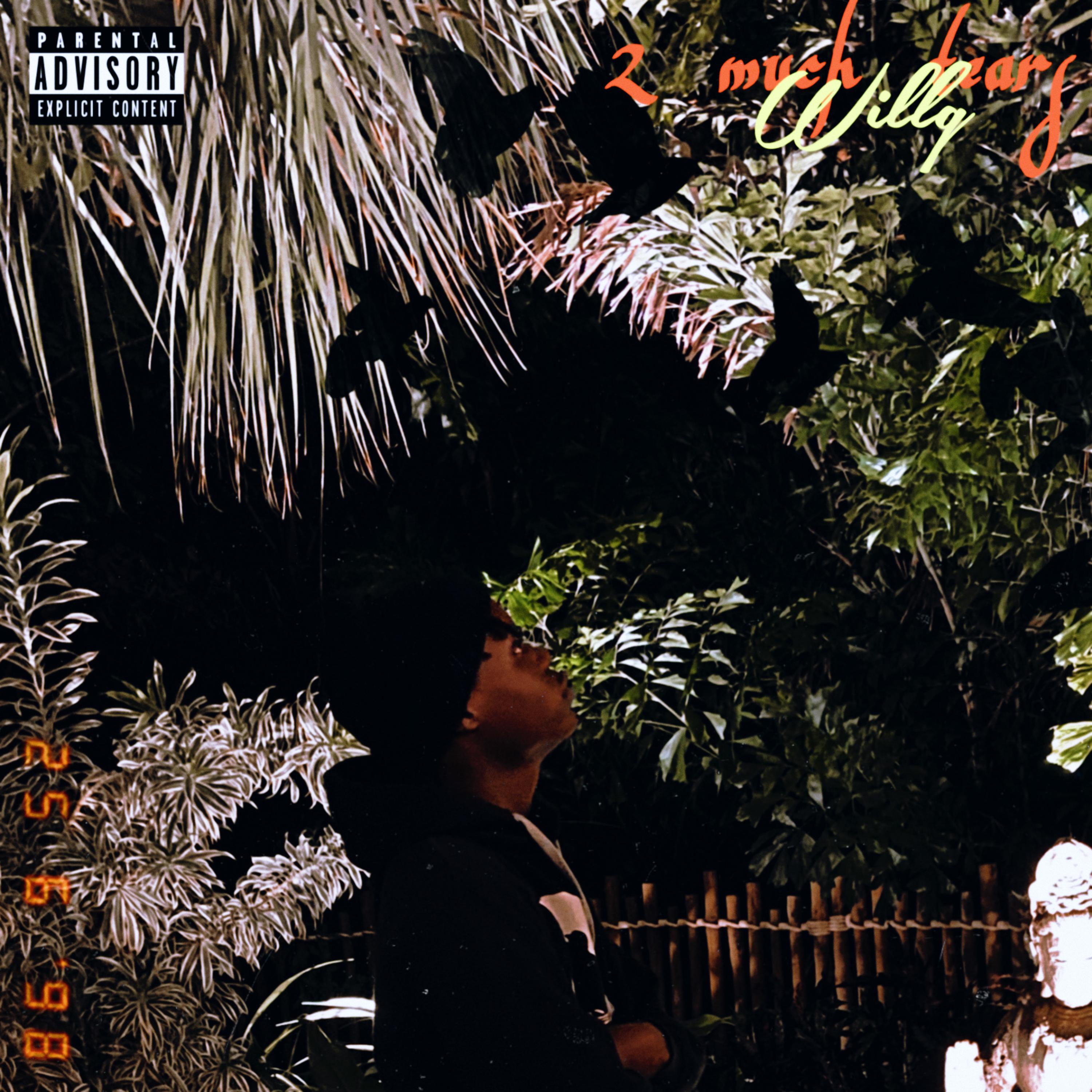 2 Much Tears artwork