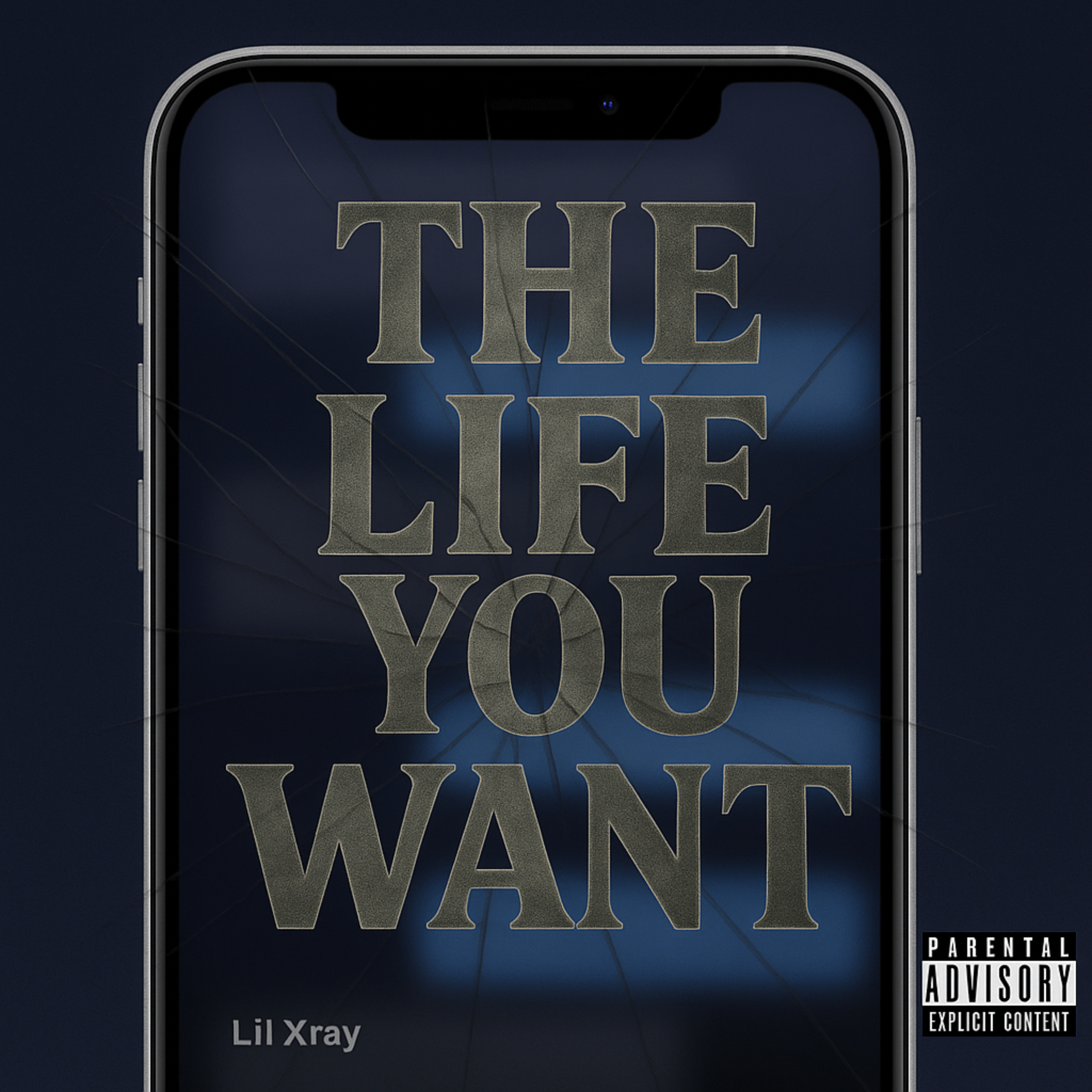 The Life You Want artwork