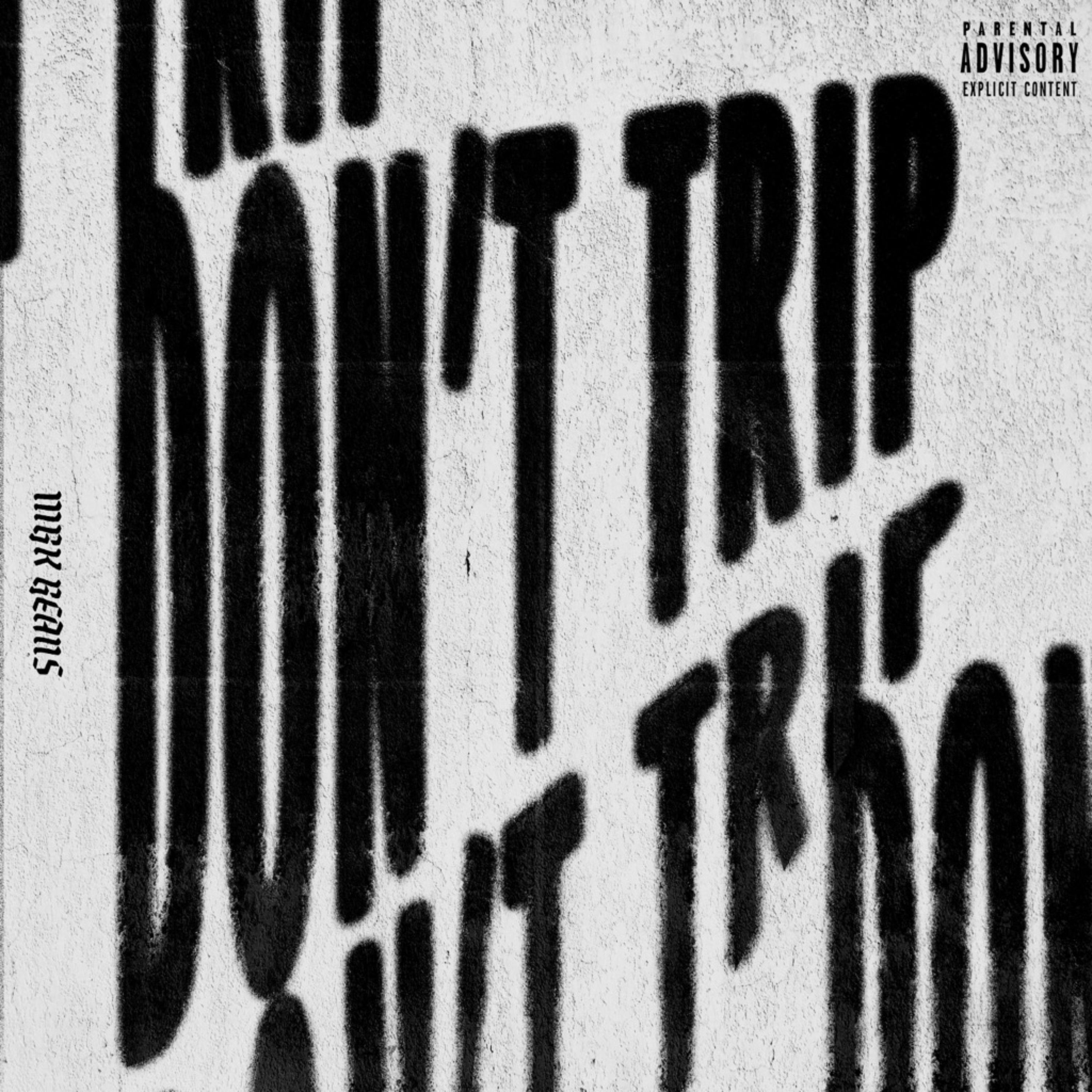 Dont Trip artwork