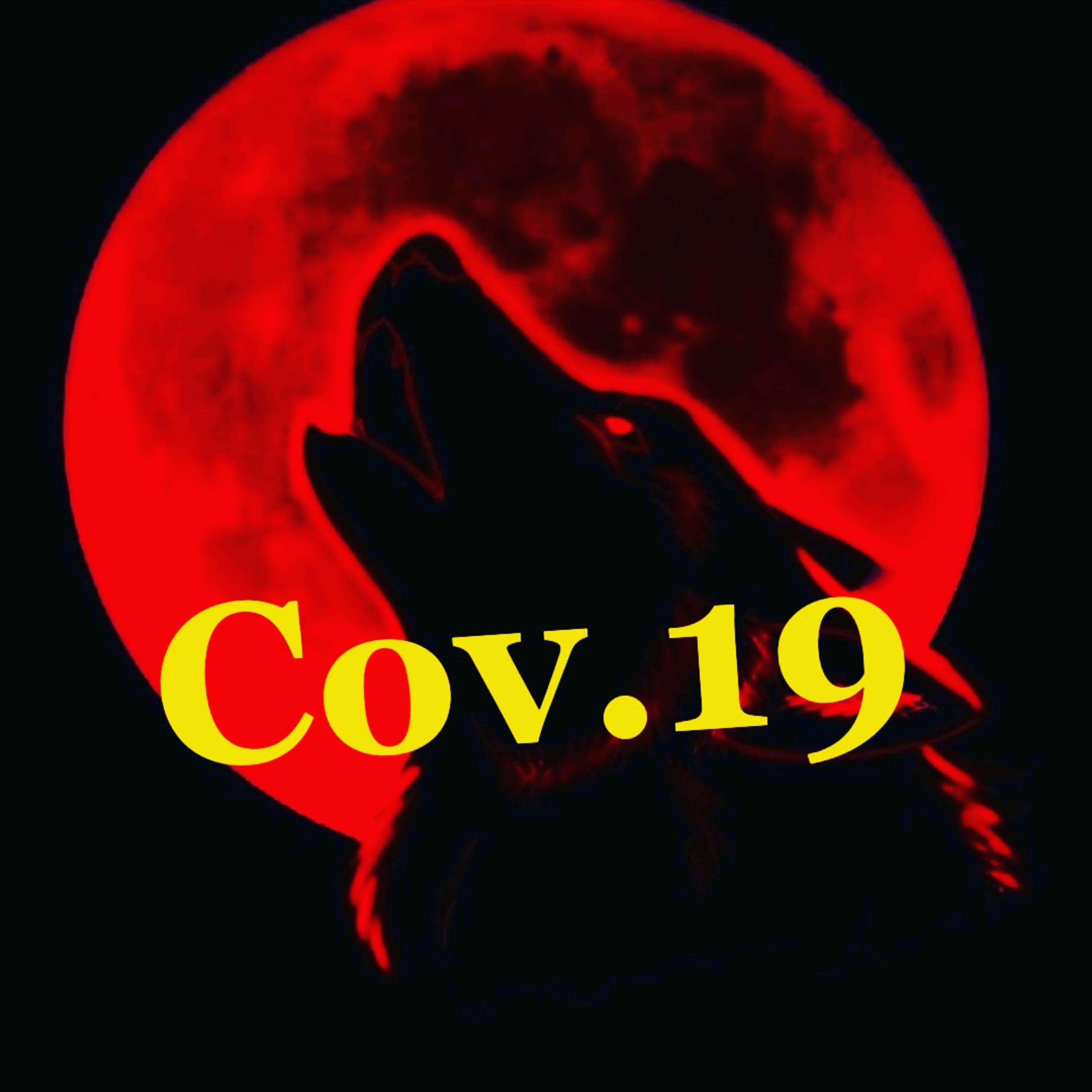 Cov.19 artwork