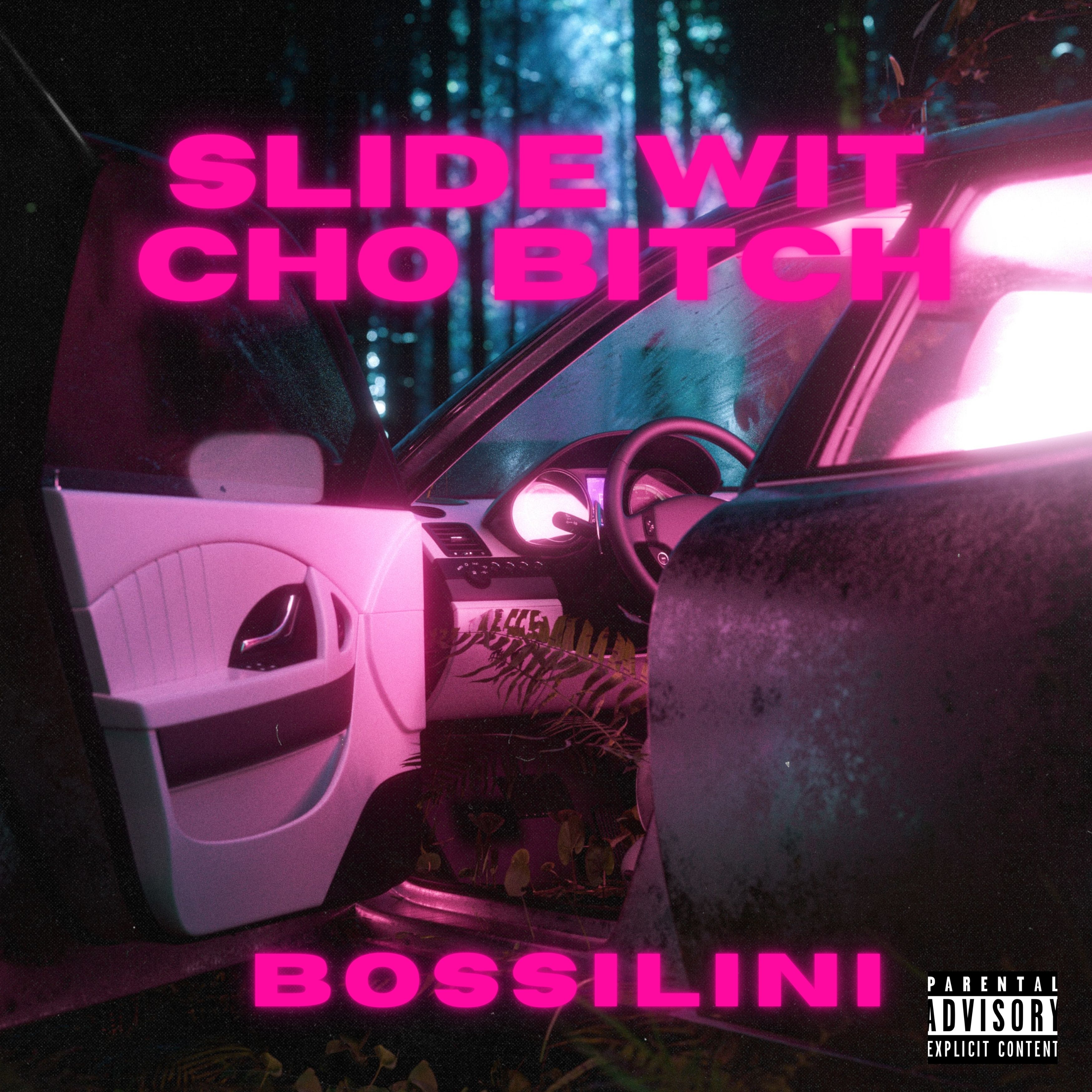 Slide Wit Cho Bitch artwork