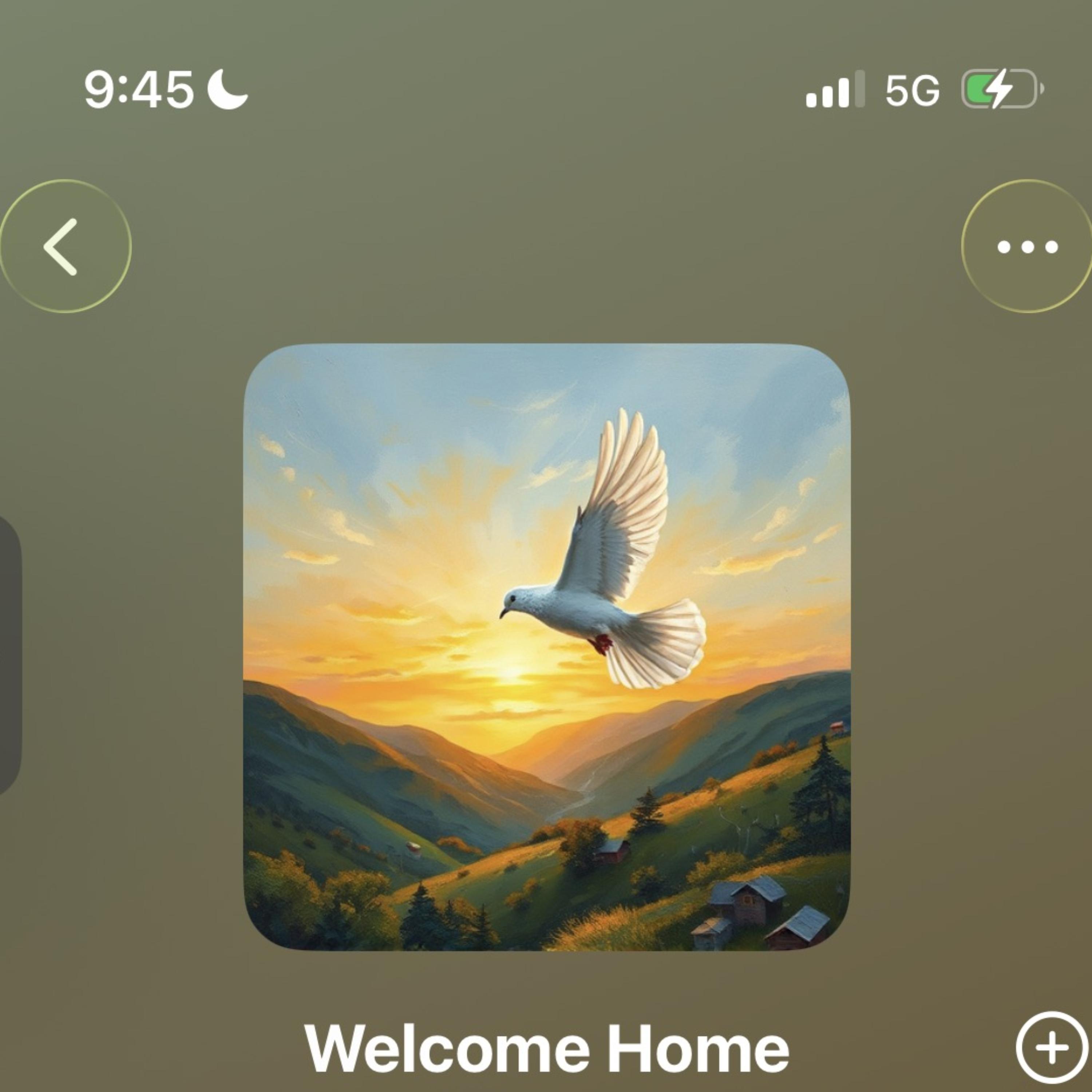 Welcome Home artwork