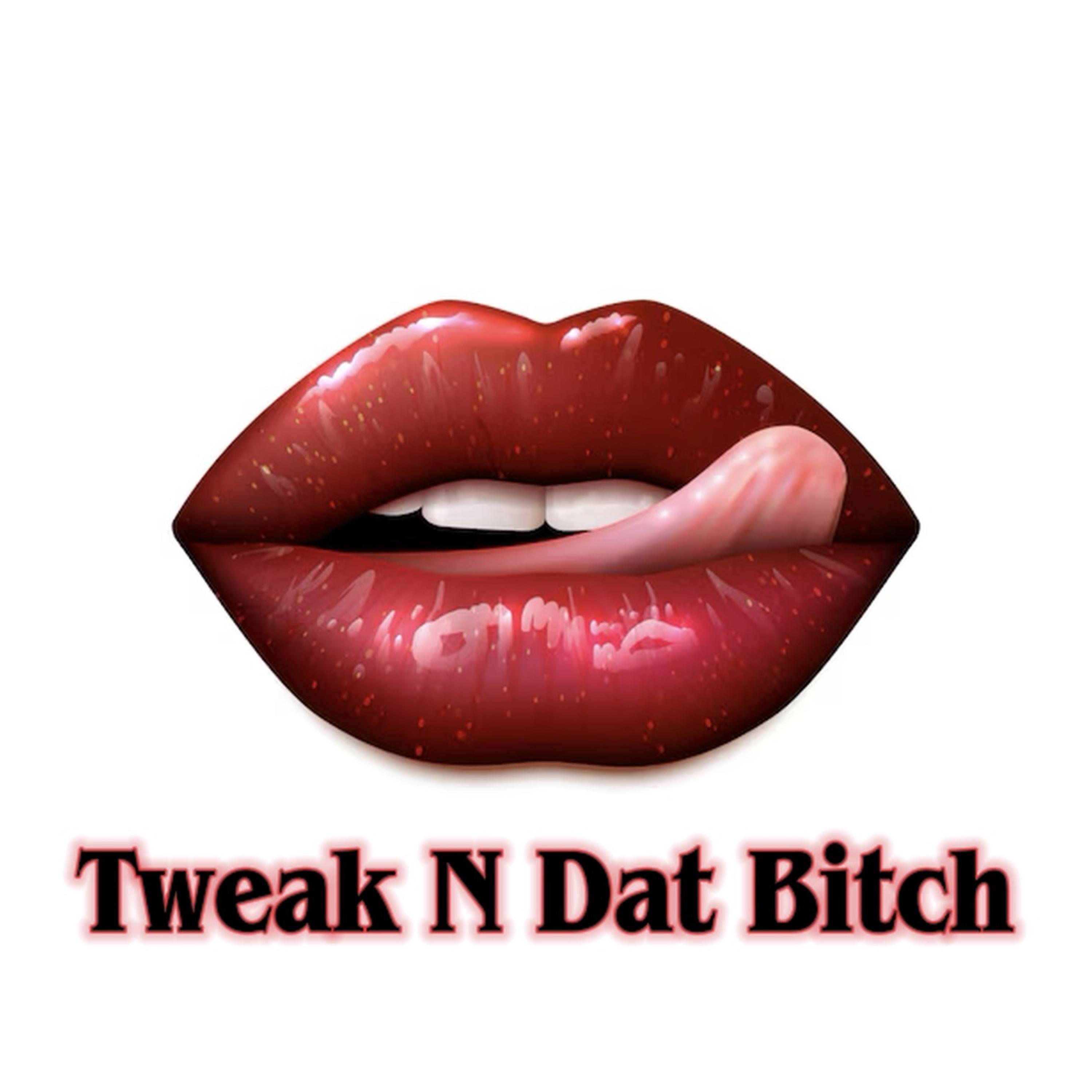 Tweak N Dat Bitch artwork
