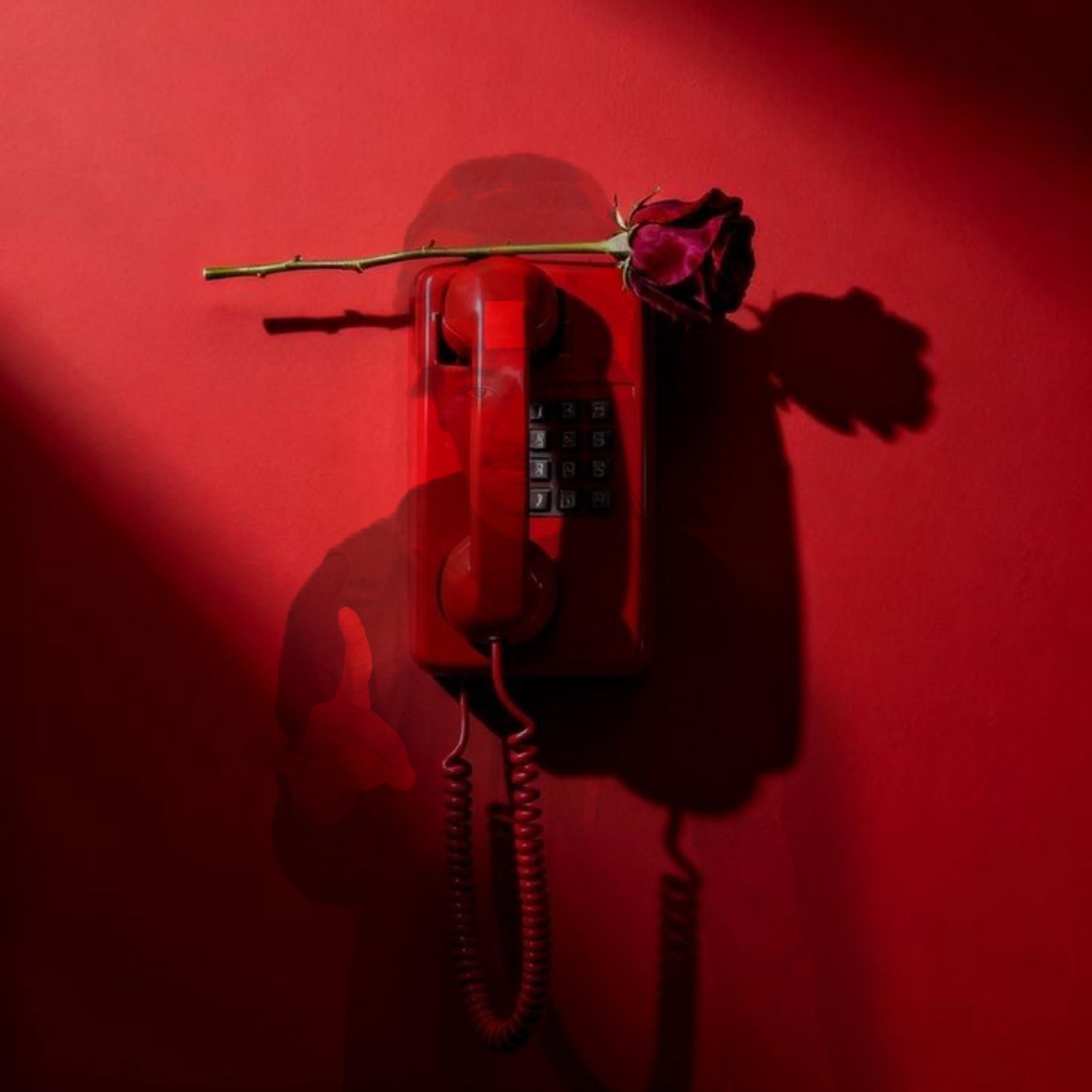 Calling My Phone artwork
