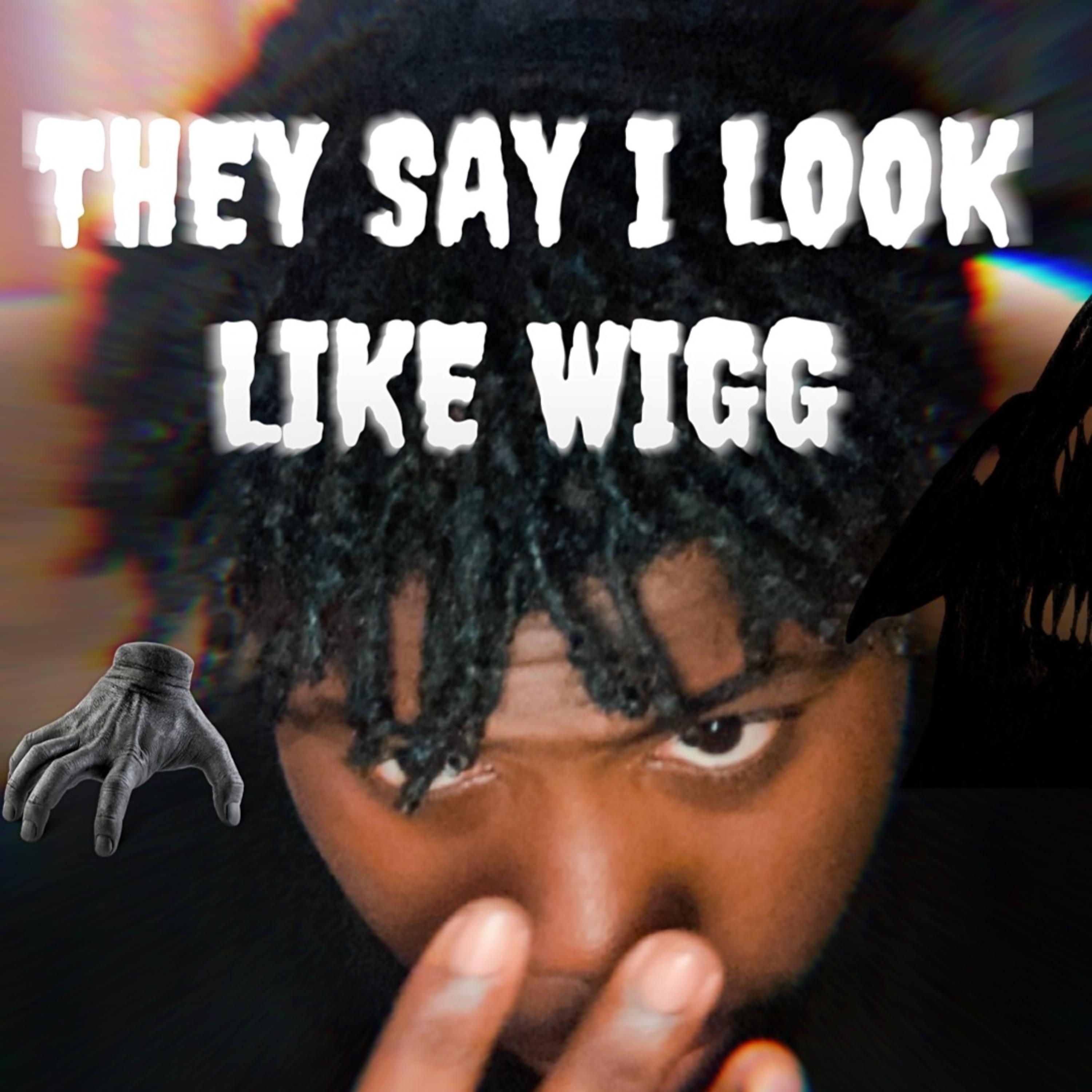 They Say I Look Like Wigg artwork