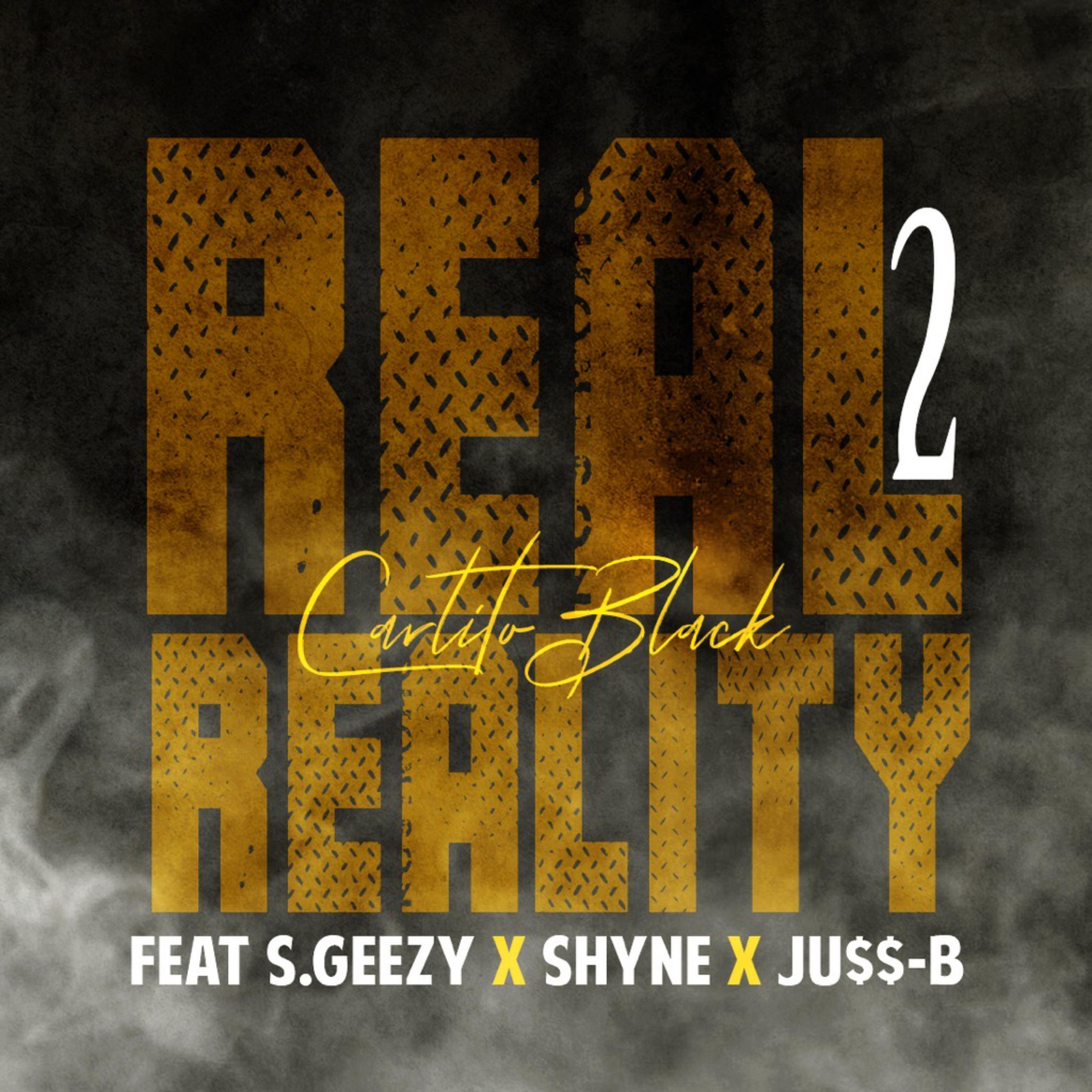 Real Reality 2 artwork