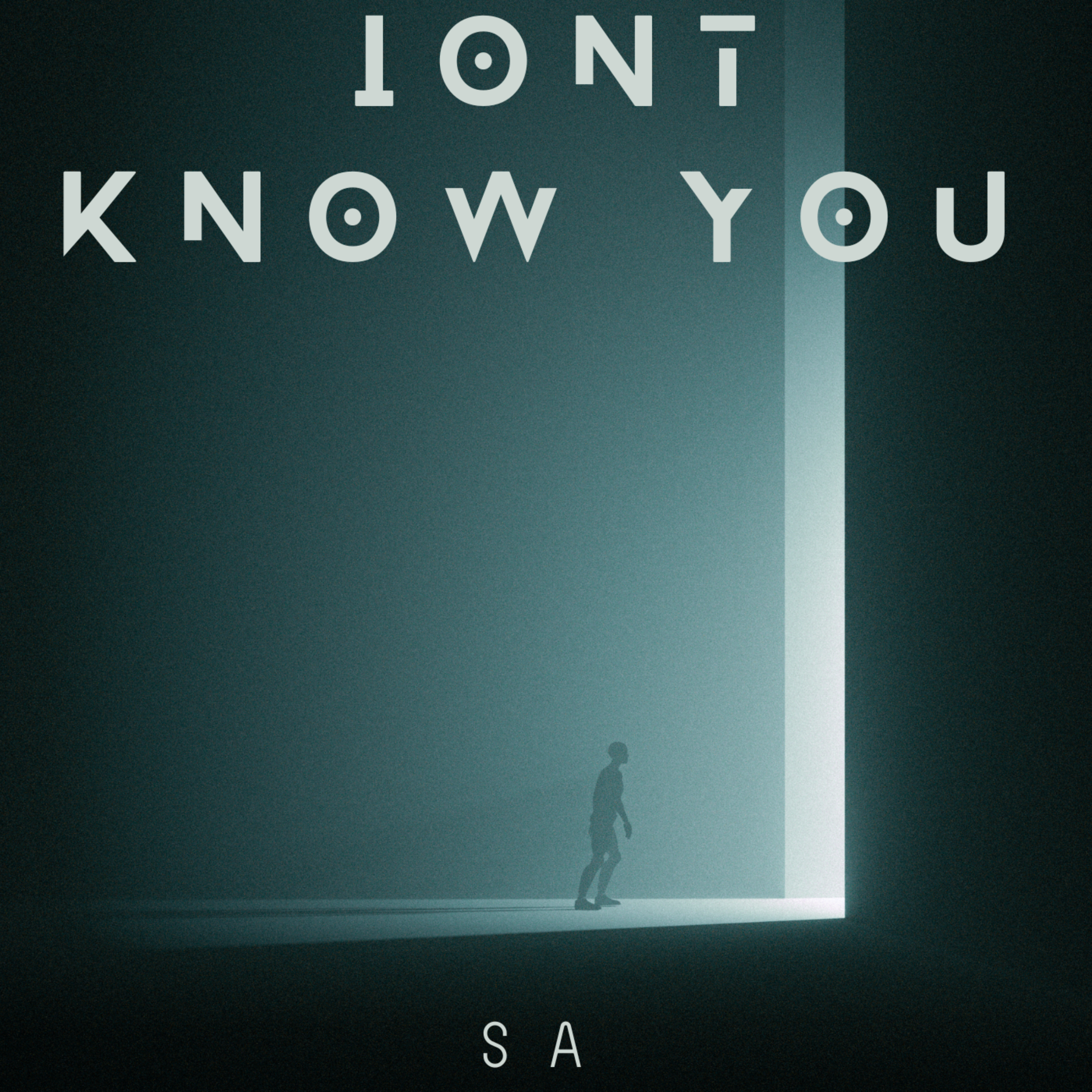IONT KNOW YOU artwork
