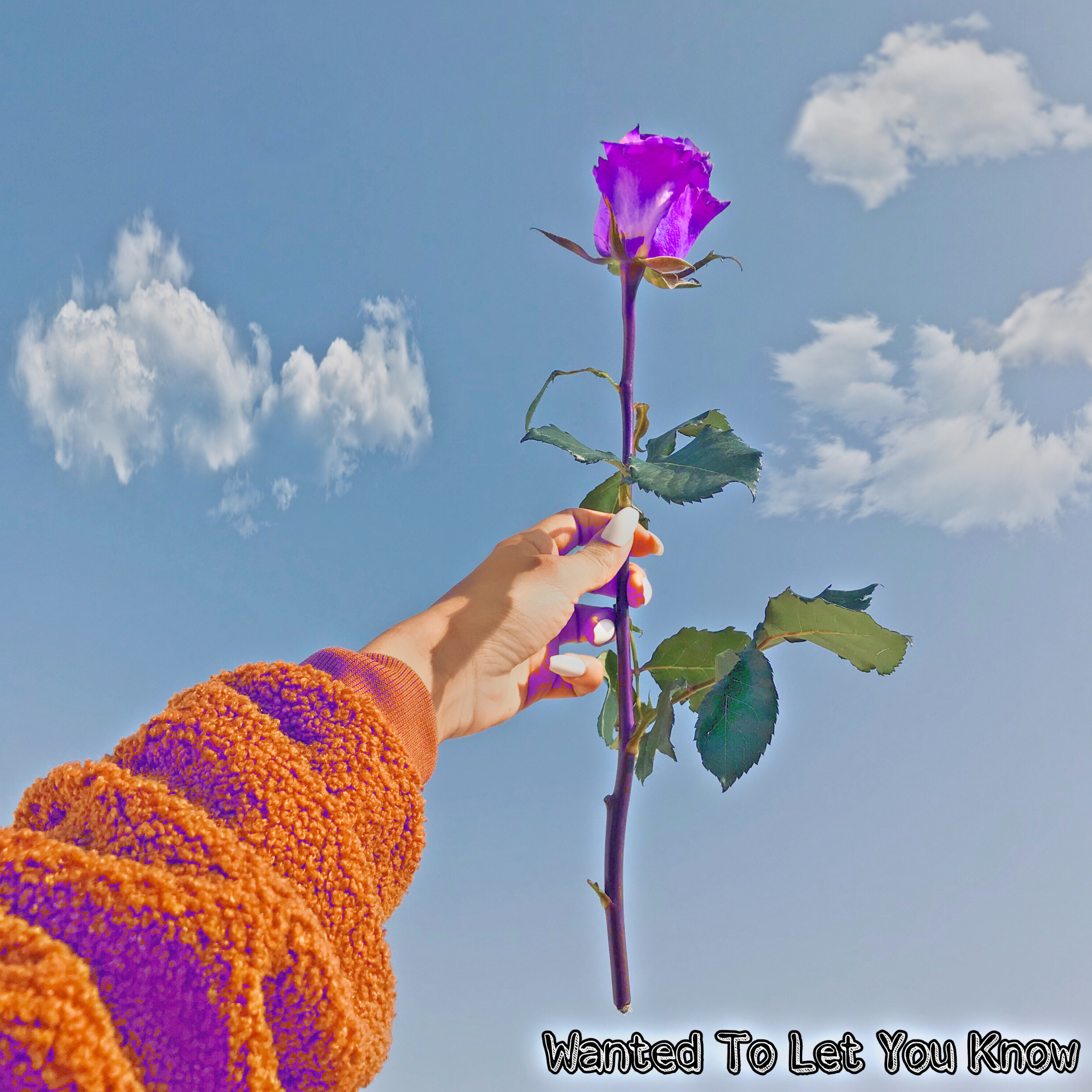 Wanted To Let You Know artwork