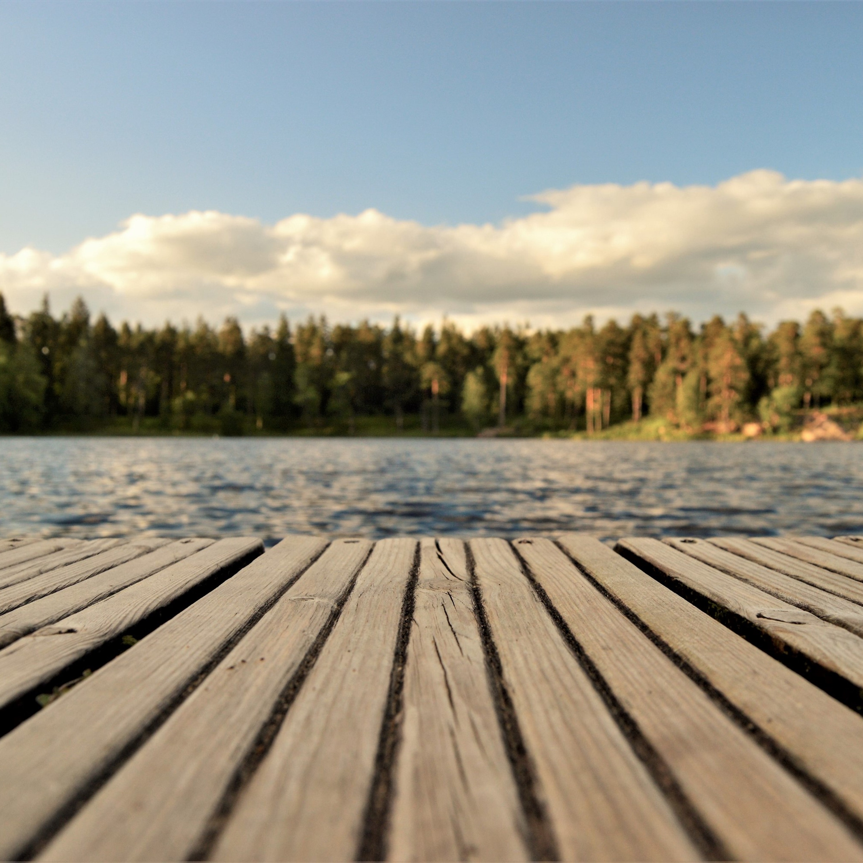 Lake Day artwork