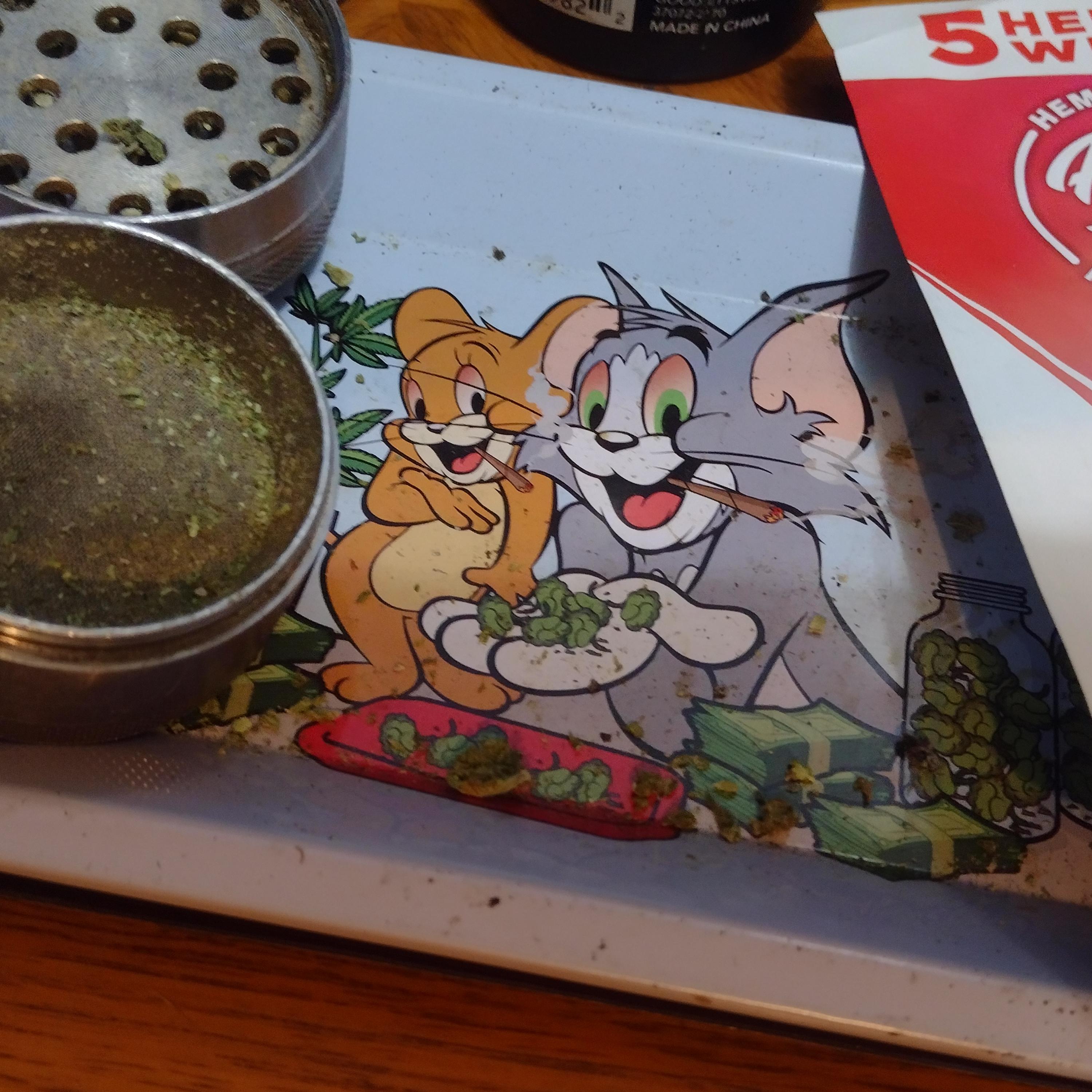 Tom and Jerry Fan artwork
