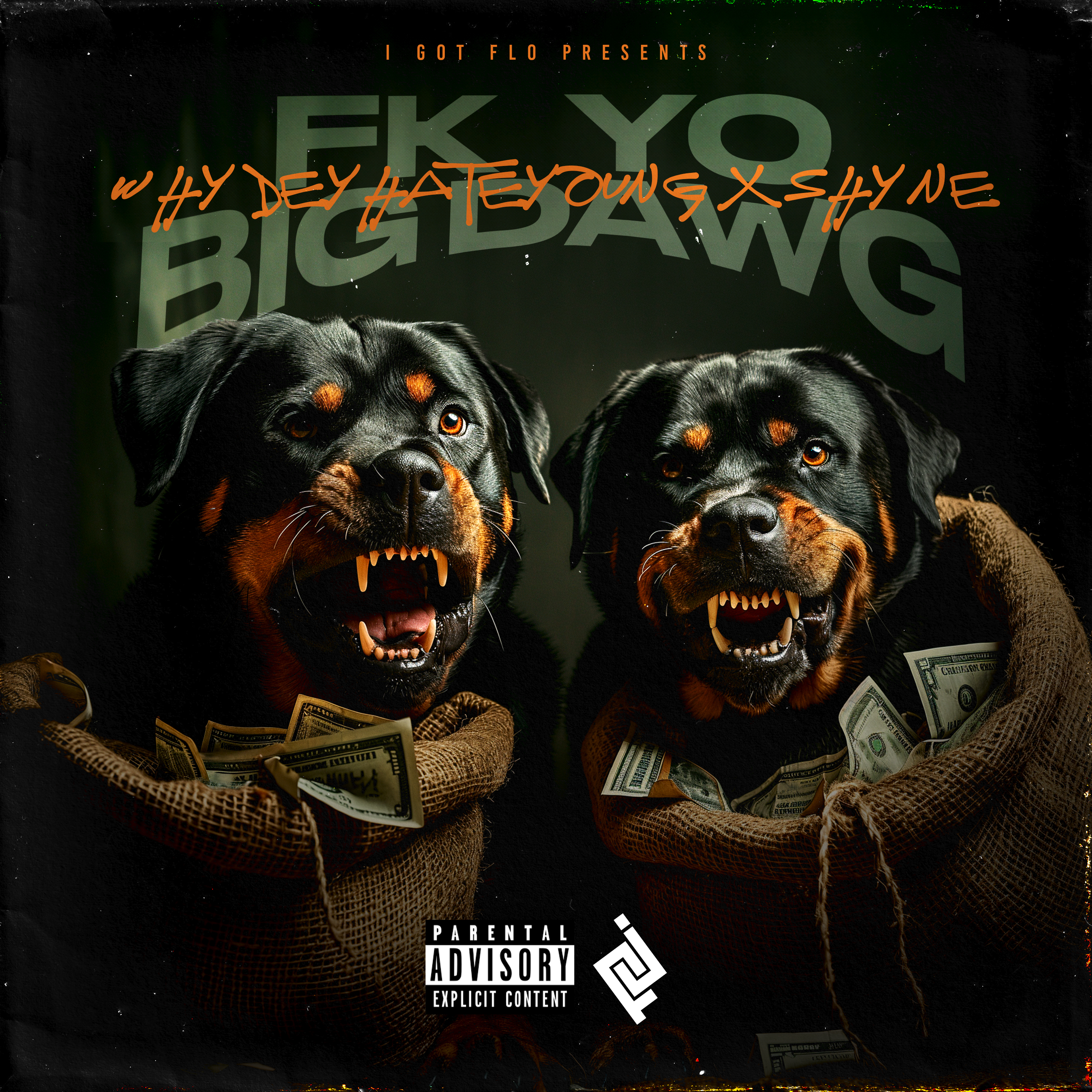 FK YO BIG DAWG artwork