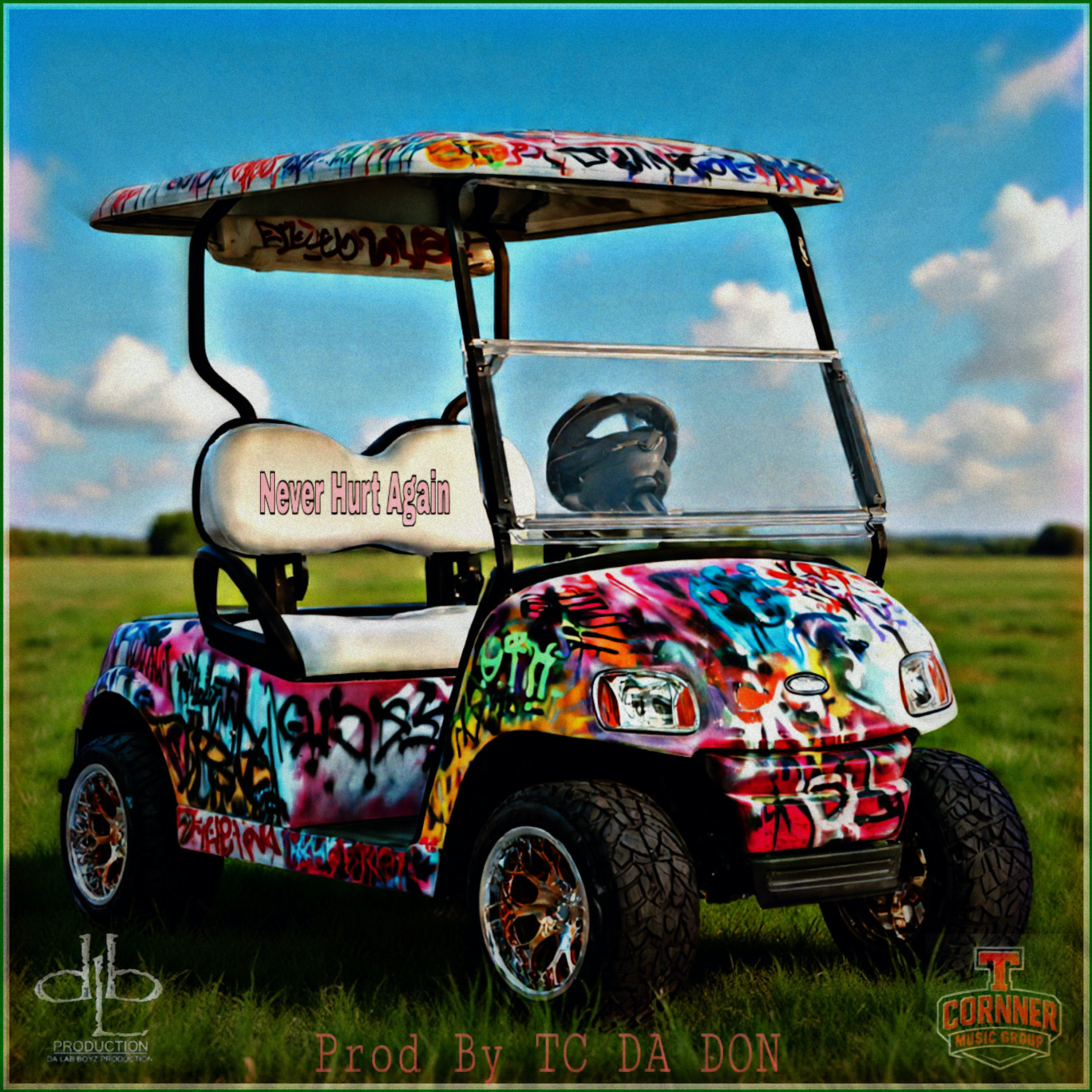 NEVER HURT AGAIN artwork