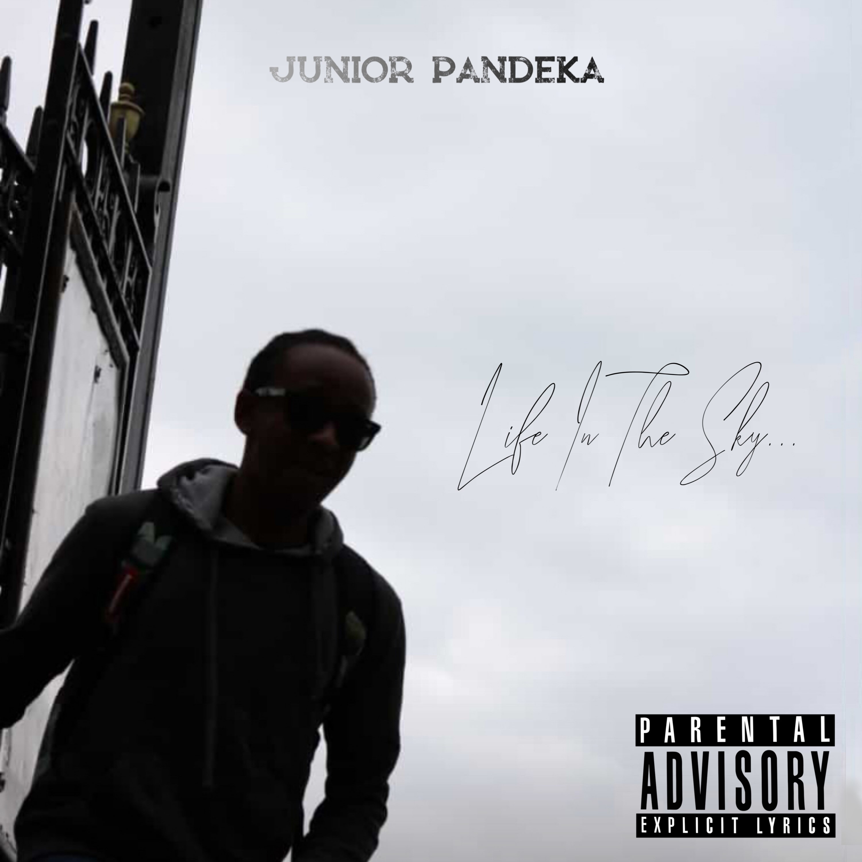 Life In The Sky... by JUNIOR PANDEKA cover art