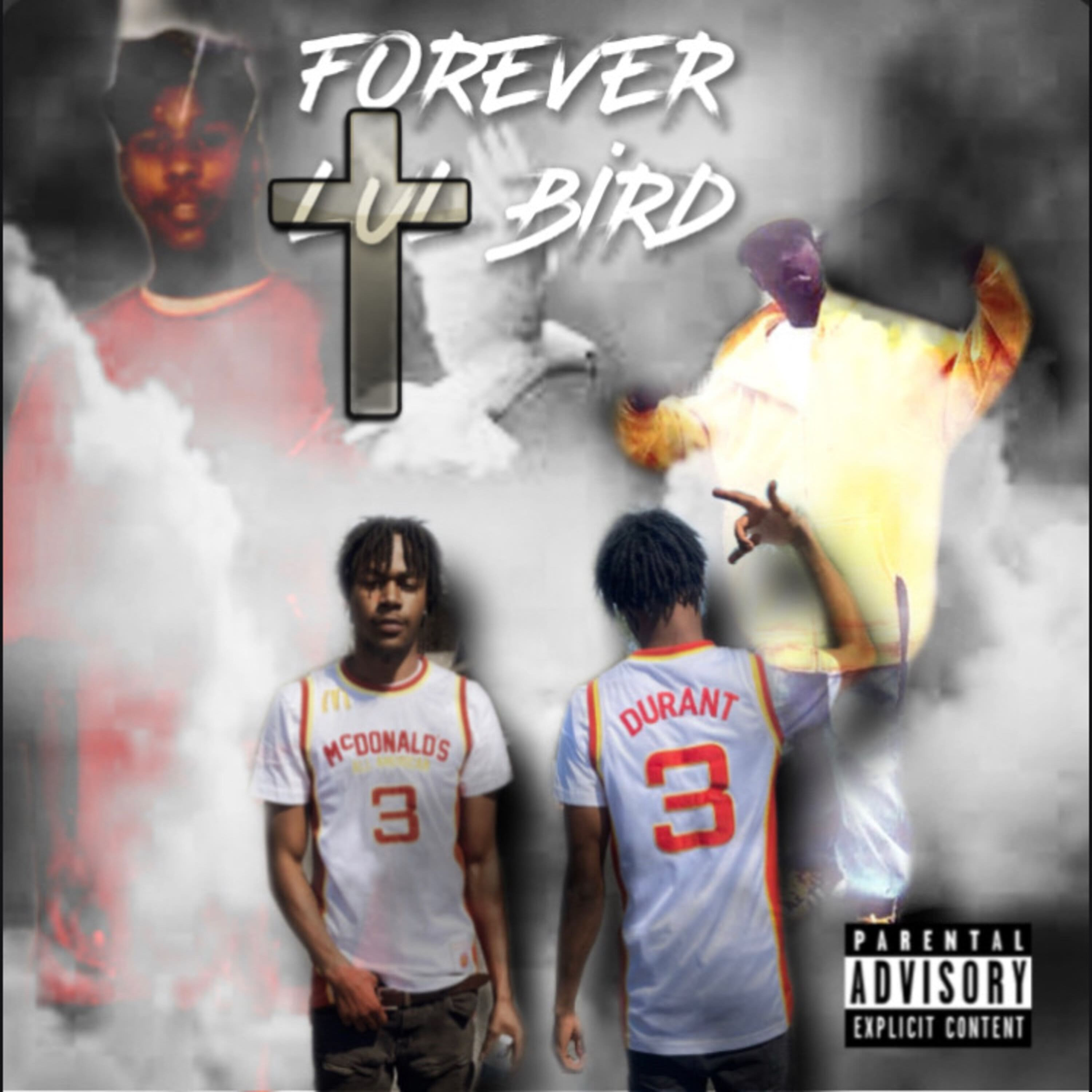 Forever Bird artwork