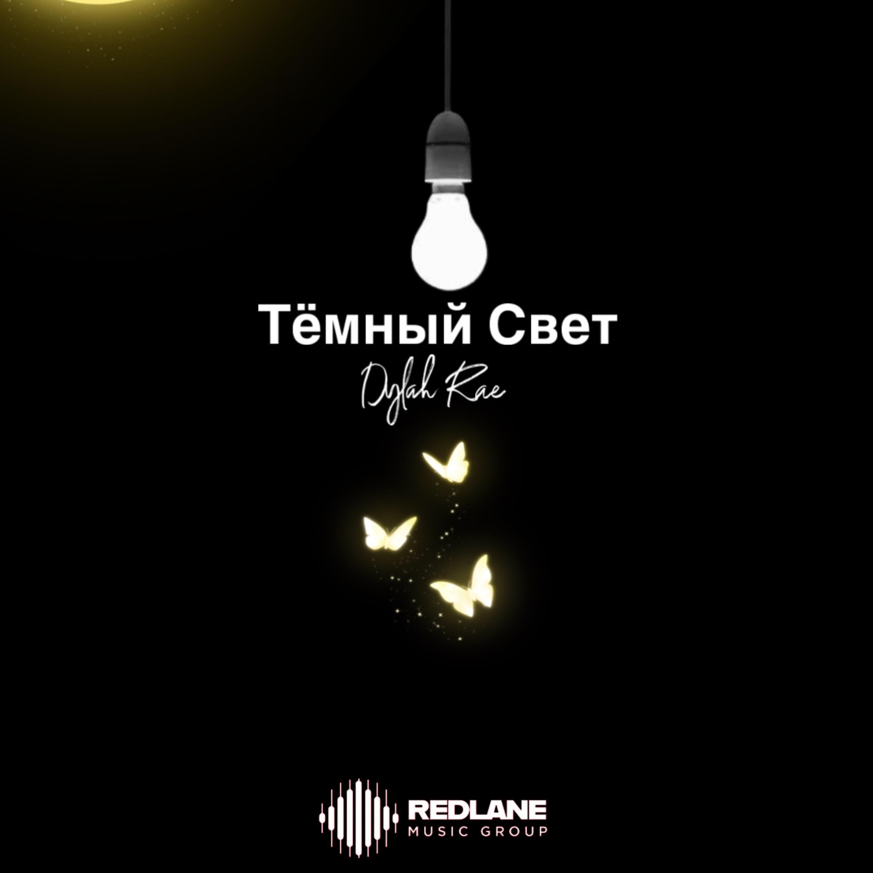 Тёмный Свет artwork