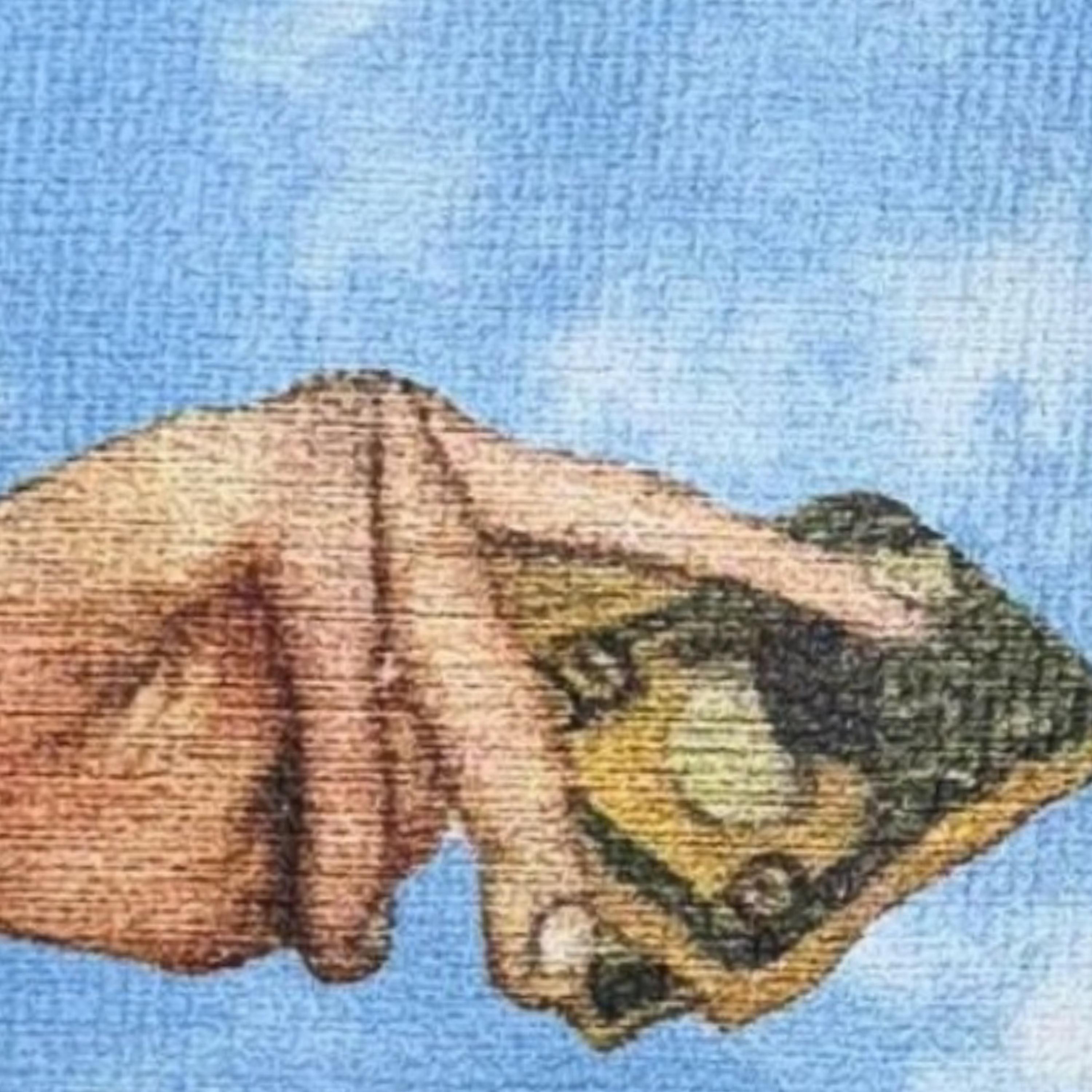 Co$tYA artwork