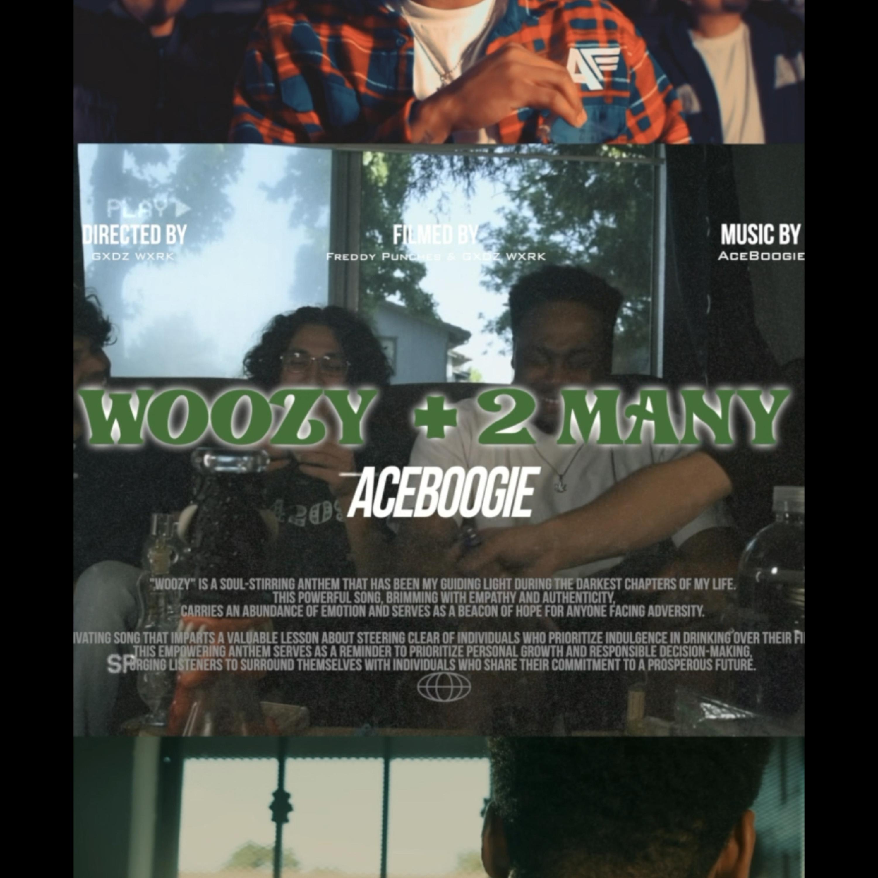 Woozy / 2 Many artwork