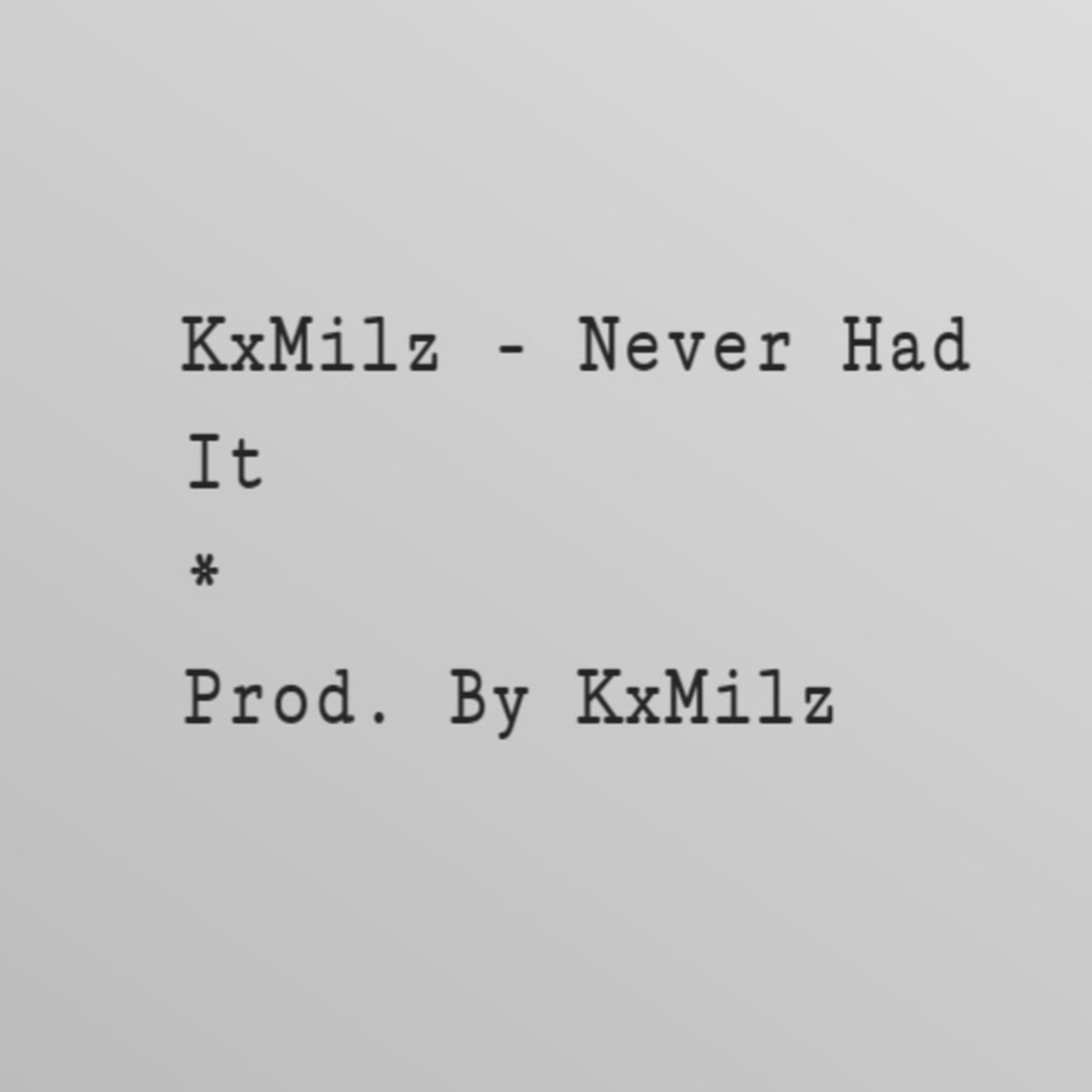 Never Had It artwork