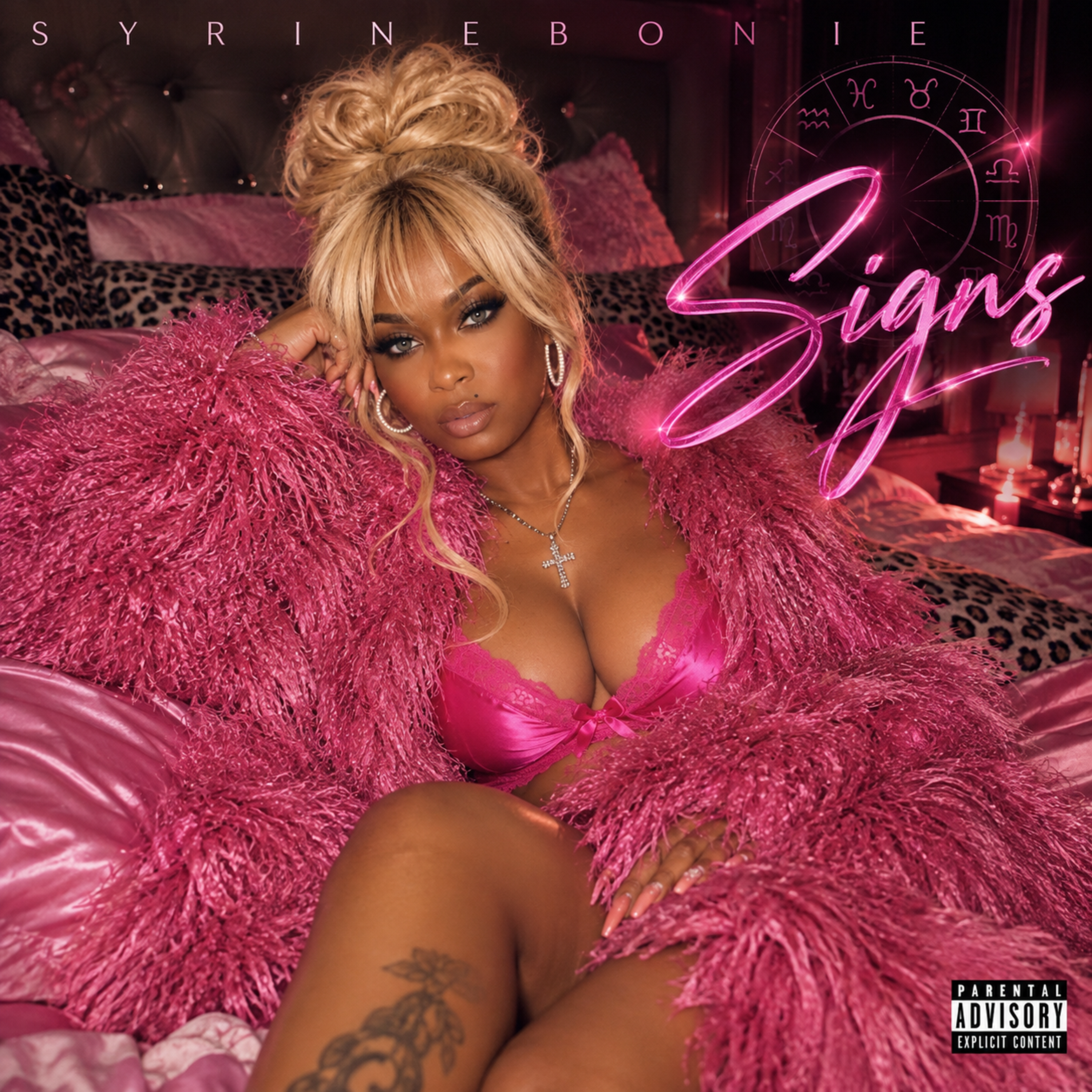 SIGNS by SyrinEbonie cover art