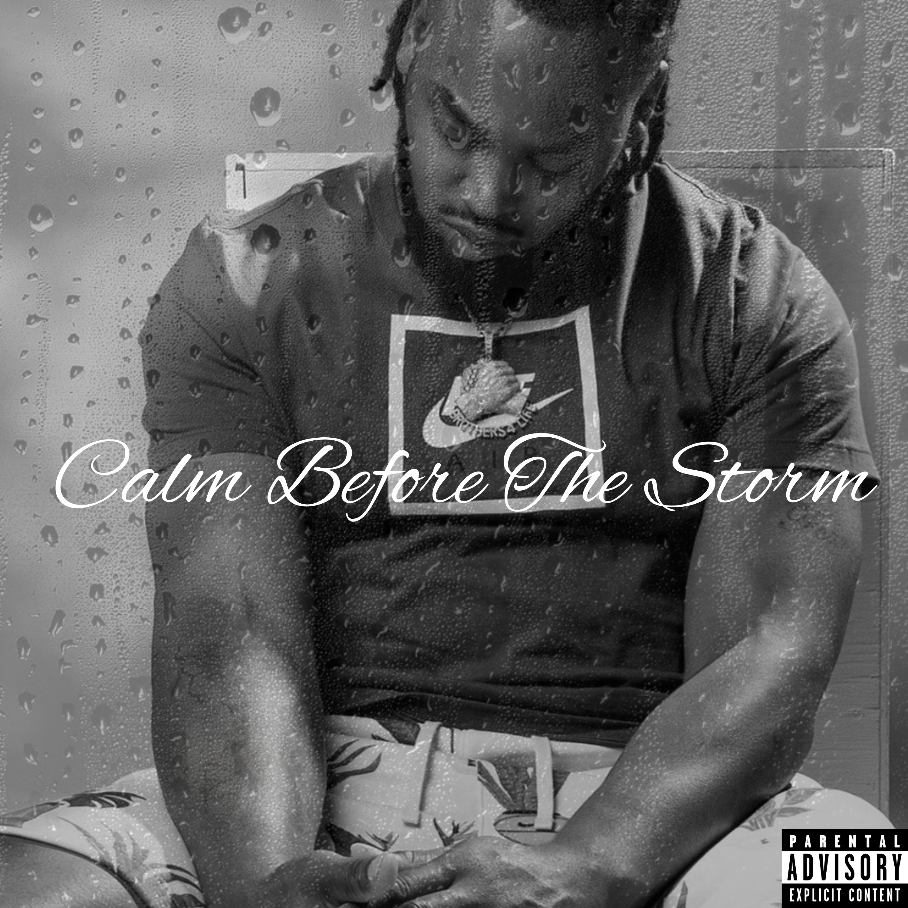Calm Before The Storm by VeeVerse cover art