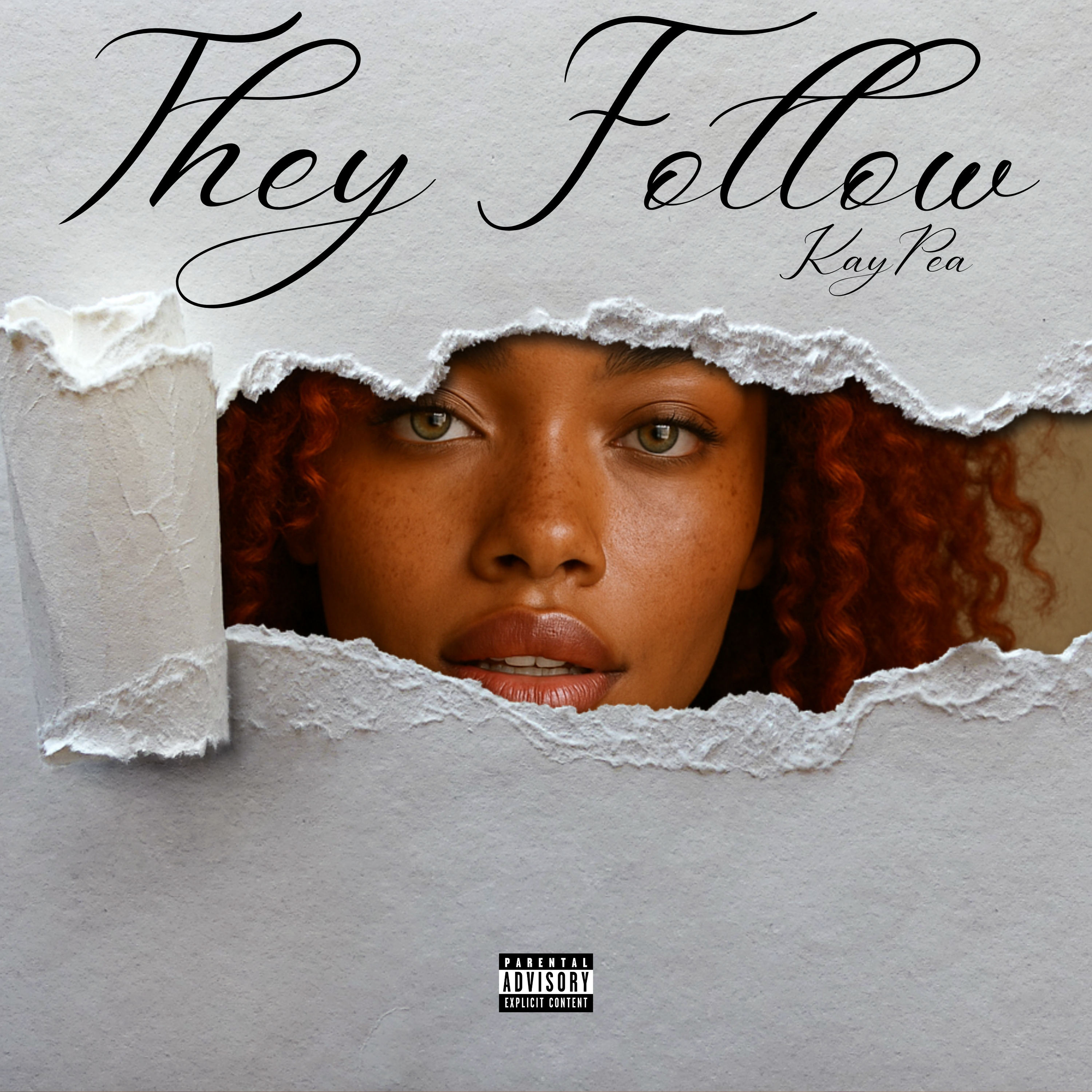 They Follow artwork