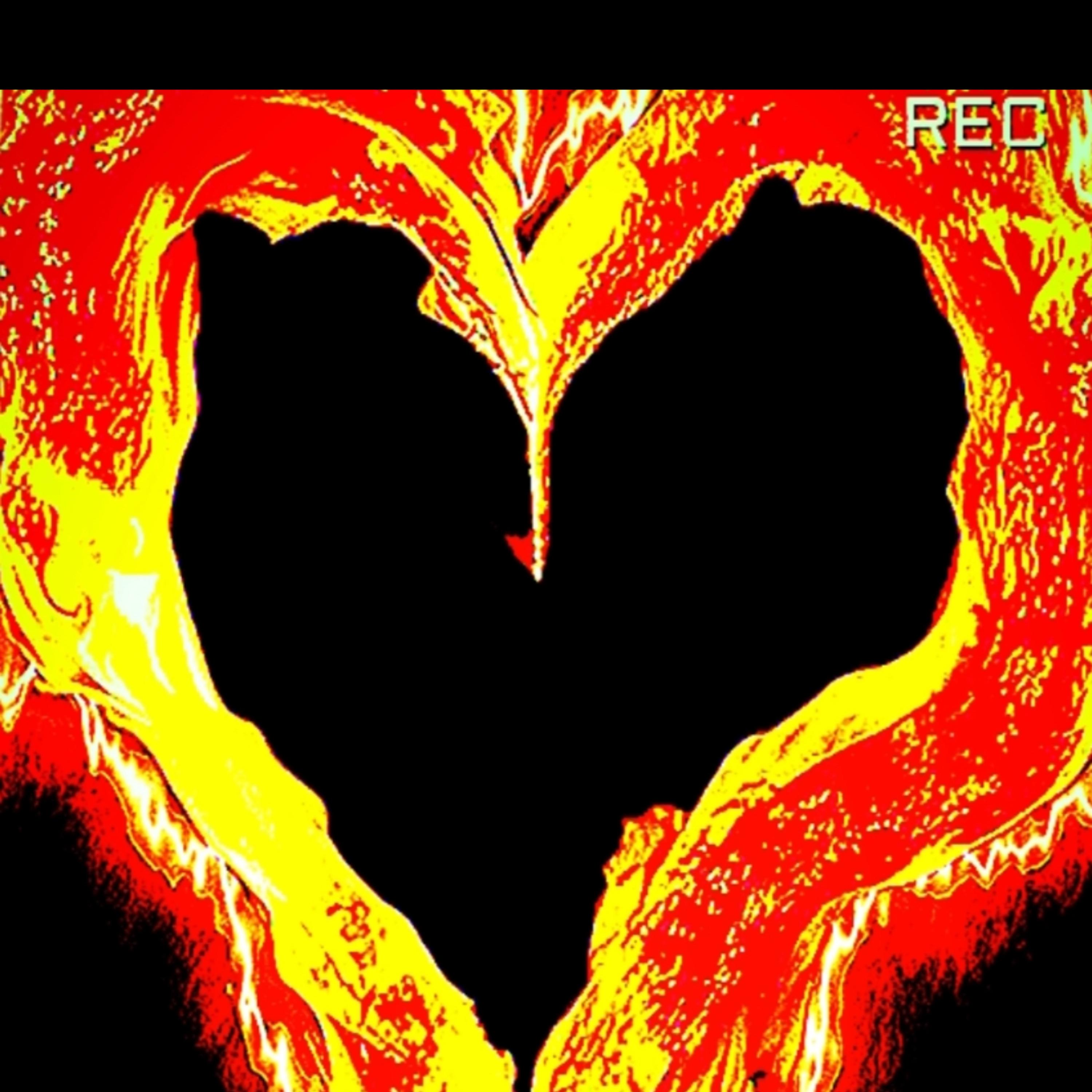 Falling For You Again Baby artwork