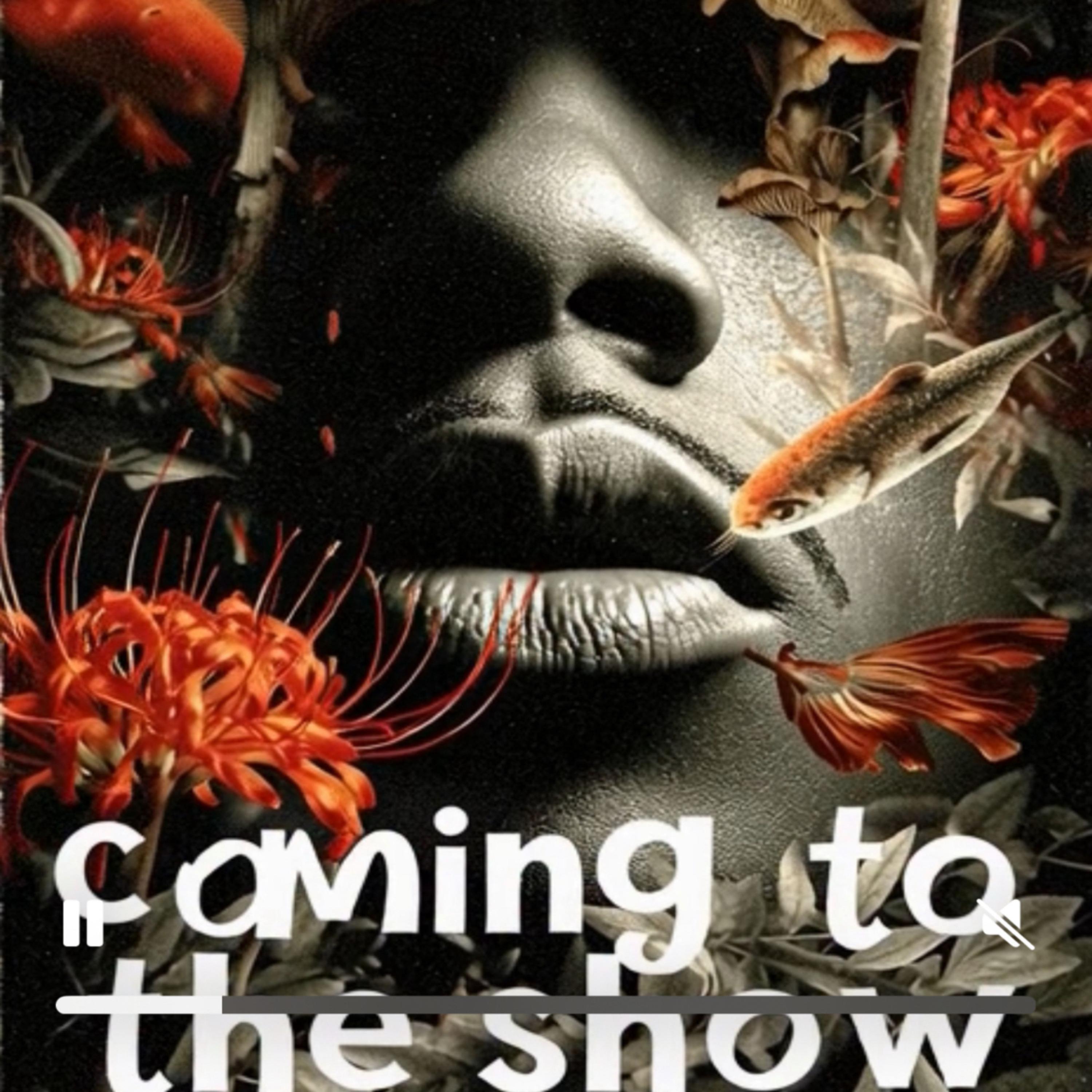 Coming To The Show artwork