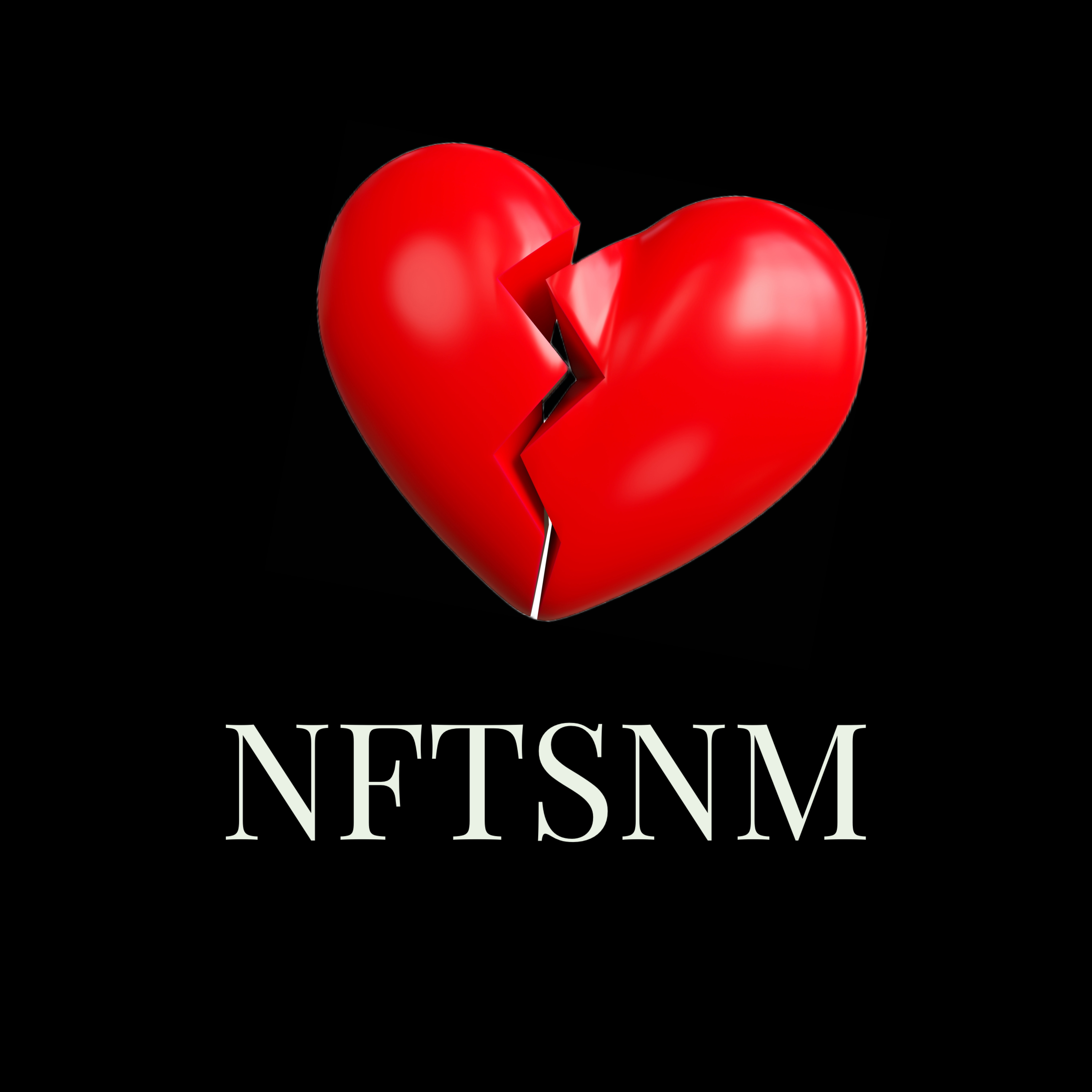 NFTSNM artwork