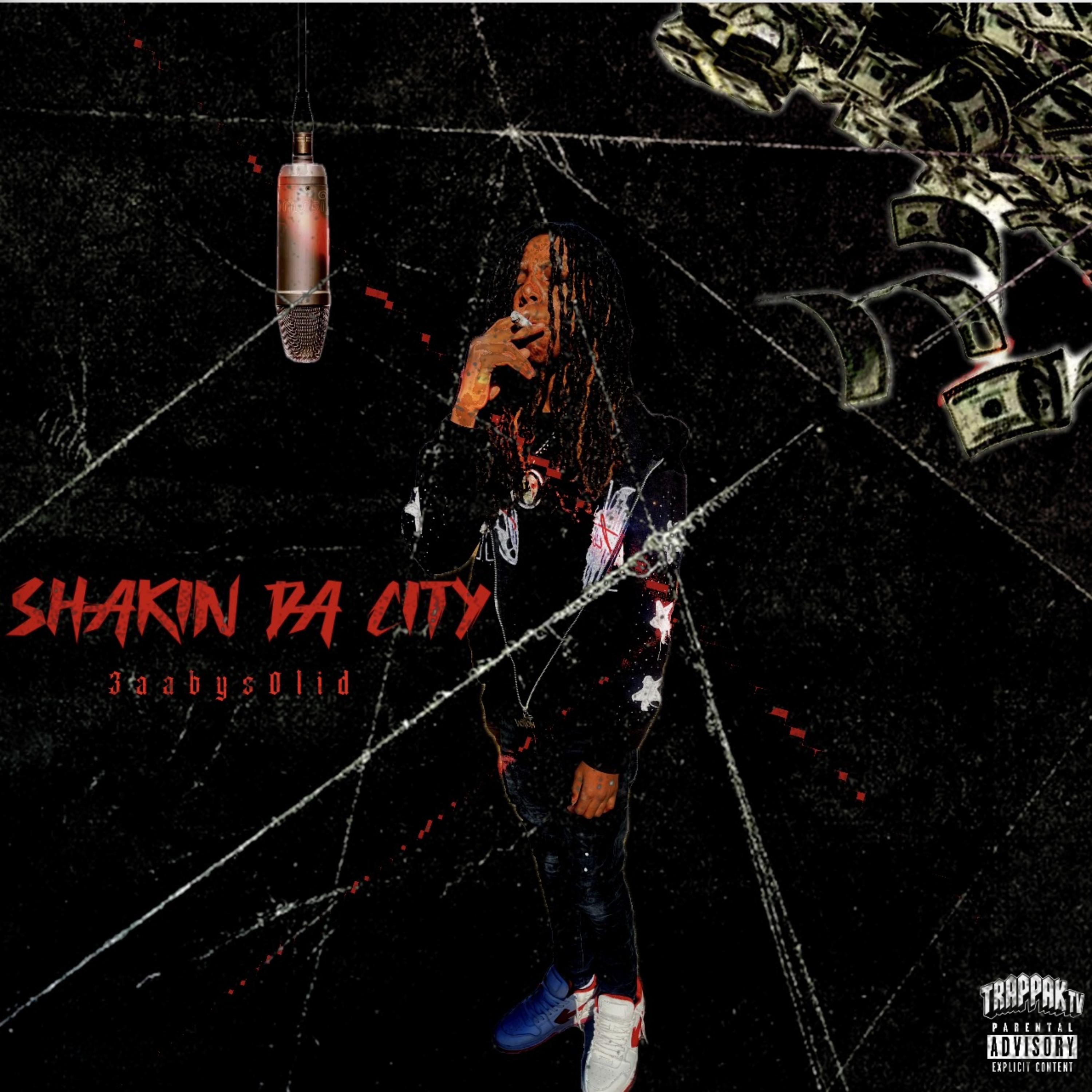 SHAKIN DA CITY artwork